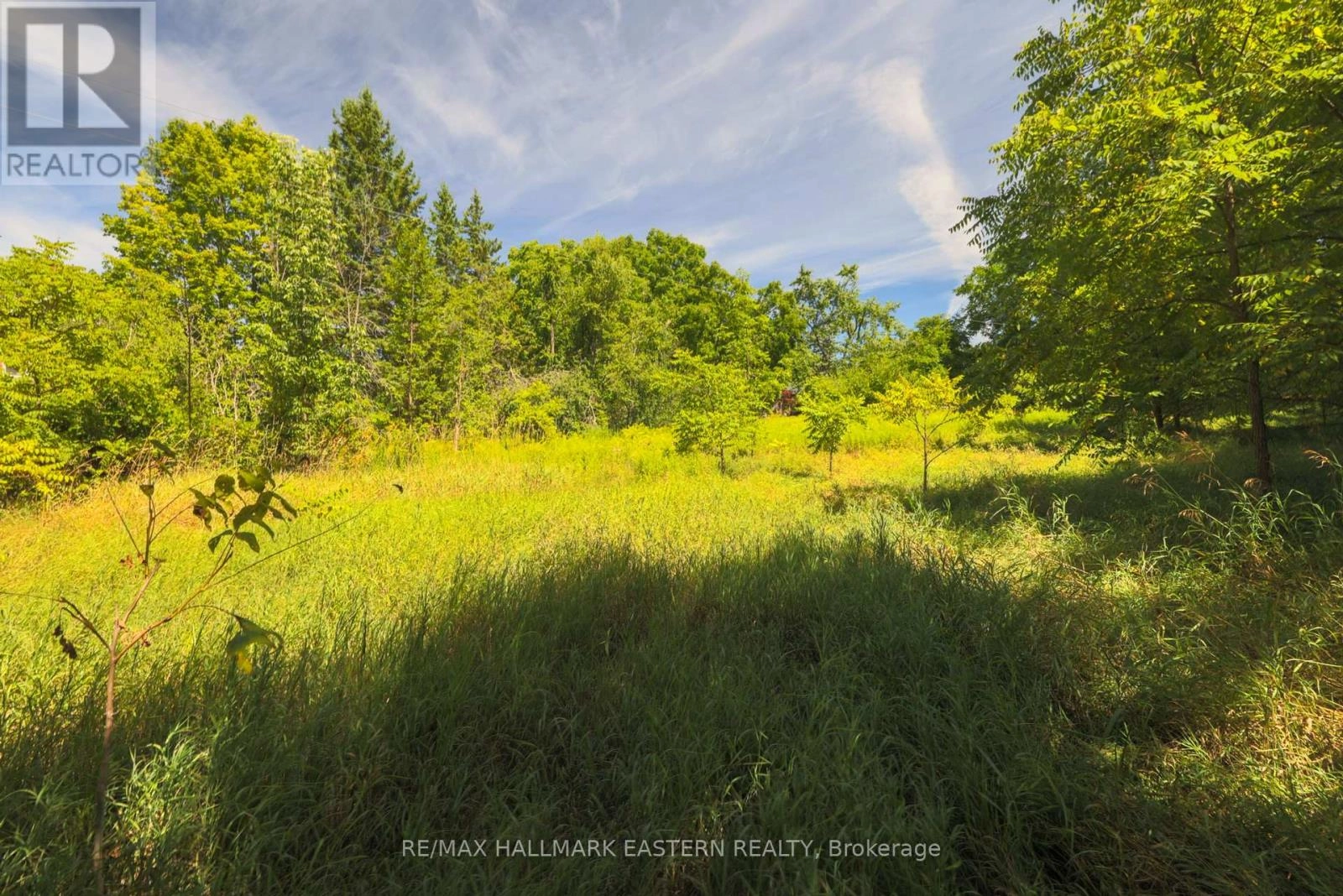 0 County Road 29, Douro-Dummer, Ontario  K0L 2H0 - Photo 2 - X12353263
