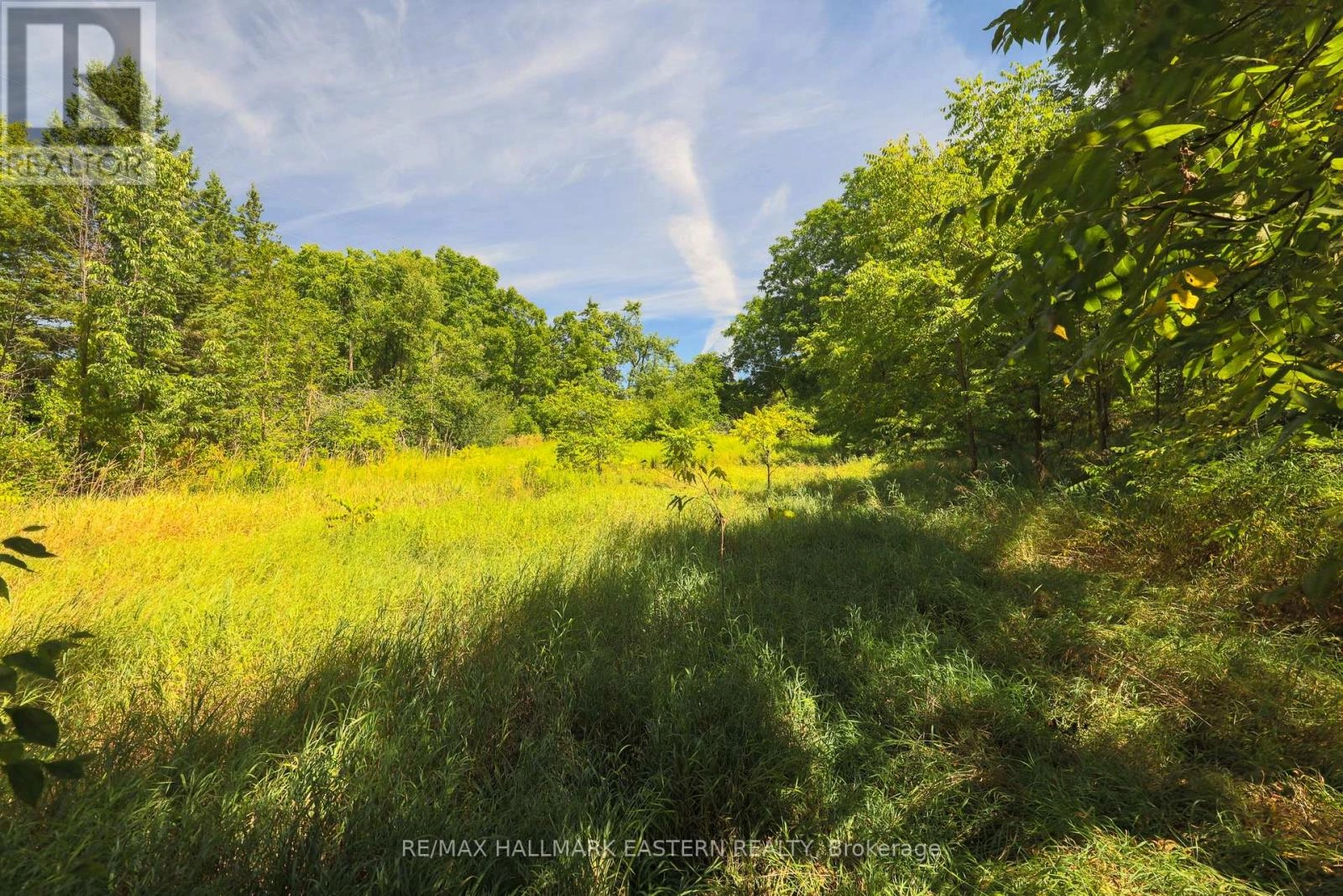 0 County Road 29, Douro-Dummer, Ontario  K0L 2H0 - Photo 3 - X12353263