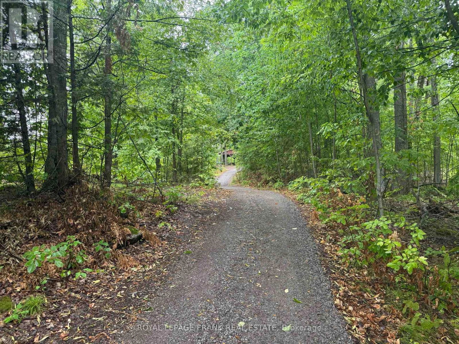 Lot 38 Sumcot Drive, Trent Lakes, Ontario  K0L 1J0 - Photo 3 - X12353512