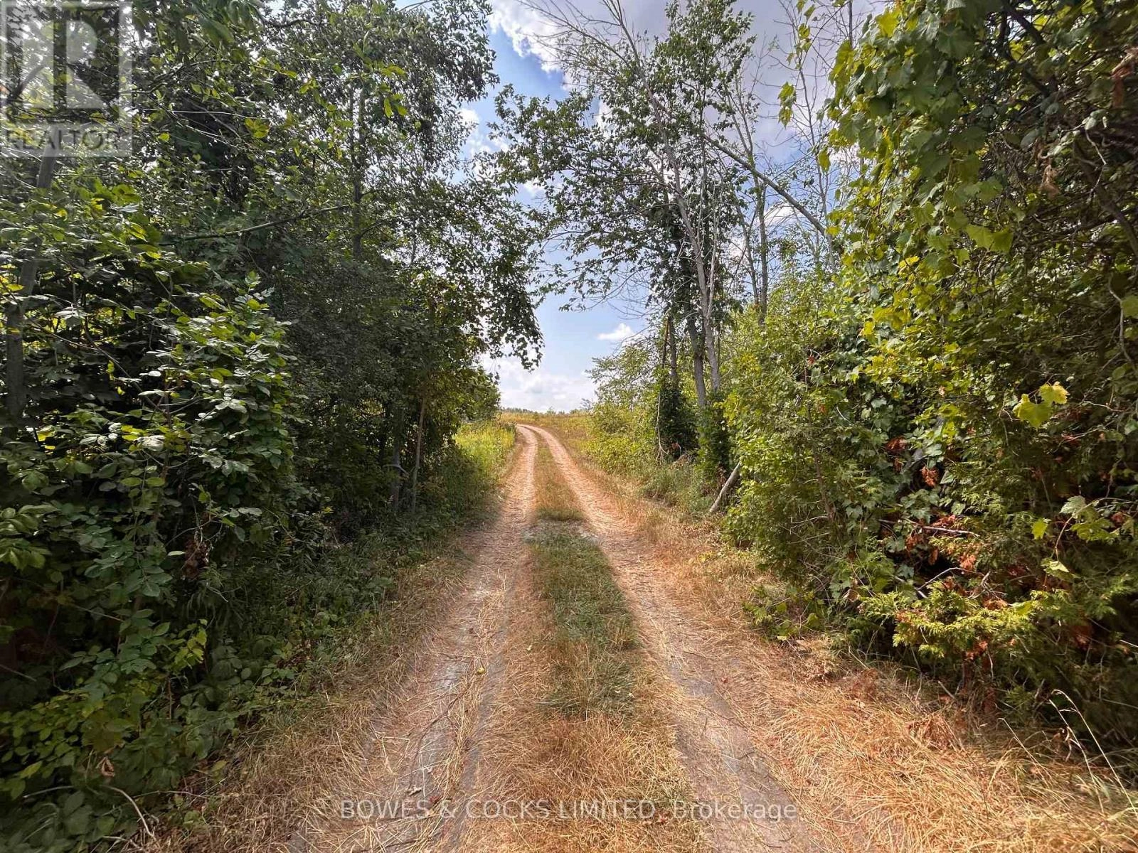 0 Halls Road, Kawartha Lakes, Ontario  K9V 4R1 - Photo 2 - X12355736