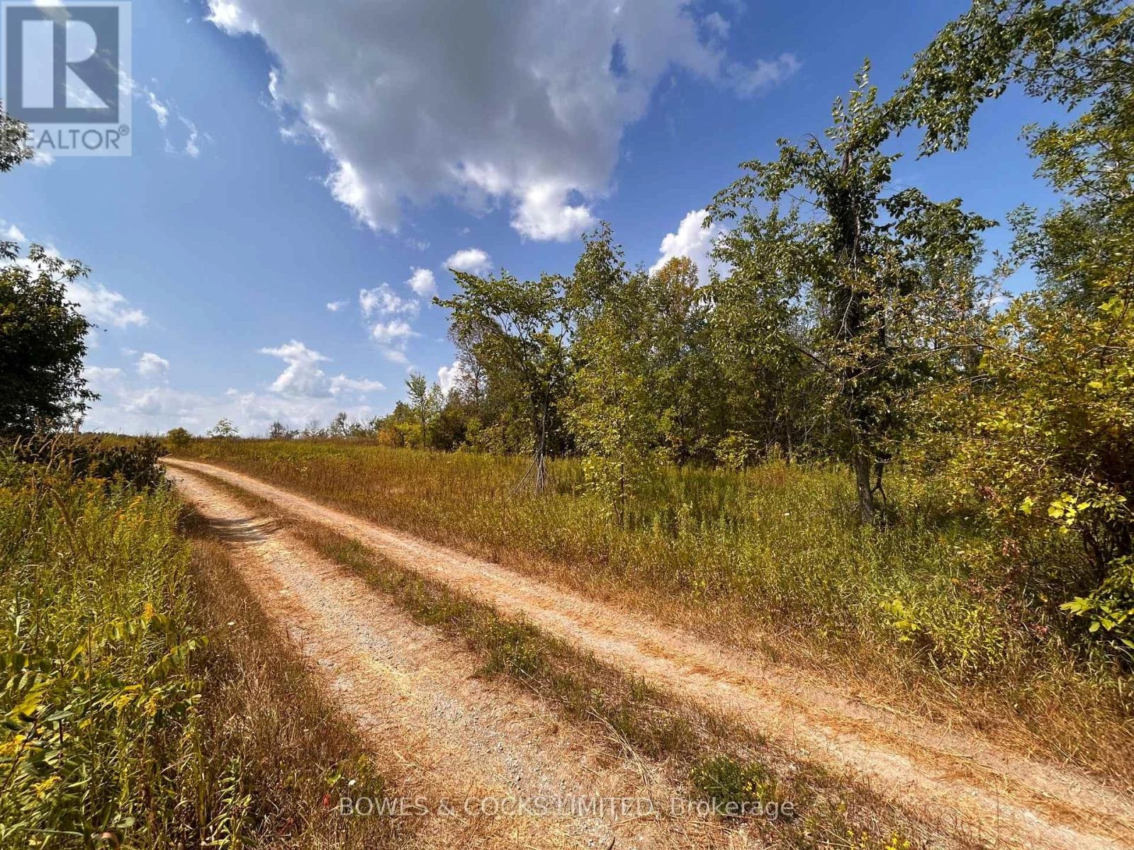0 Halls Road, Kawartha Lakes, Ontario  K9V 4R1 - Photo 3 - X12355736