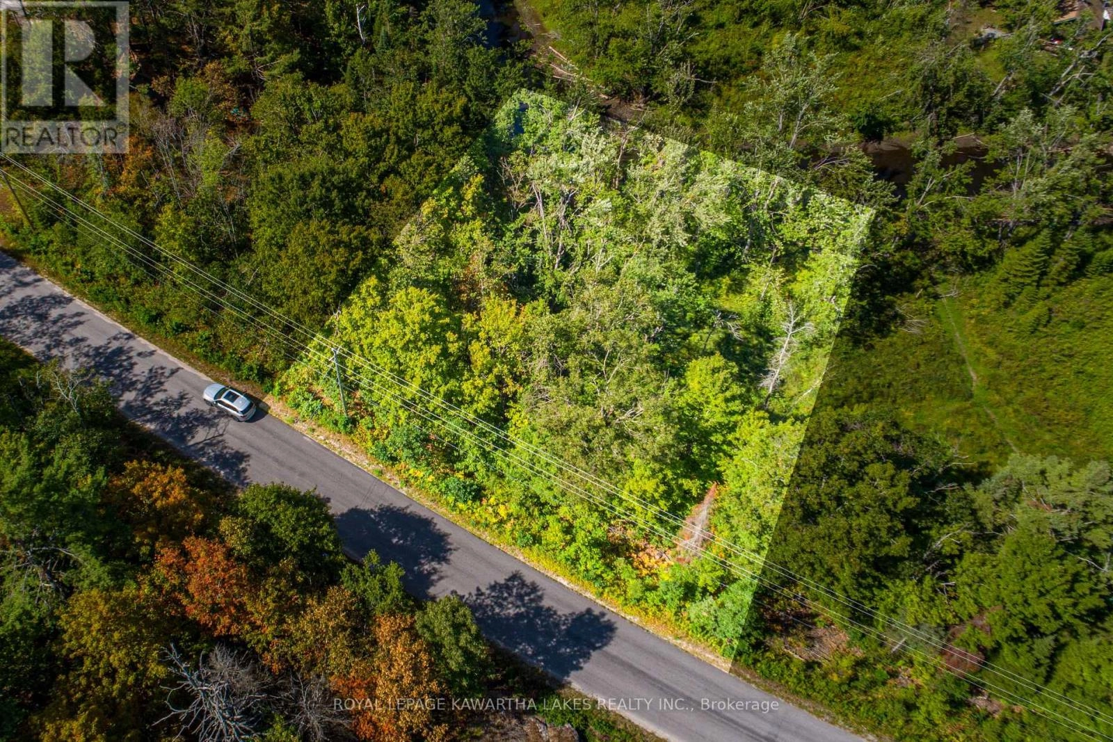 Pt Lot 36 Edwina Drive, Trent Lakes, Ontario  K0M 1A0 - Photo 1 - X12356493