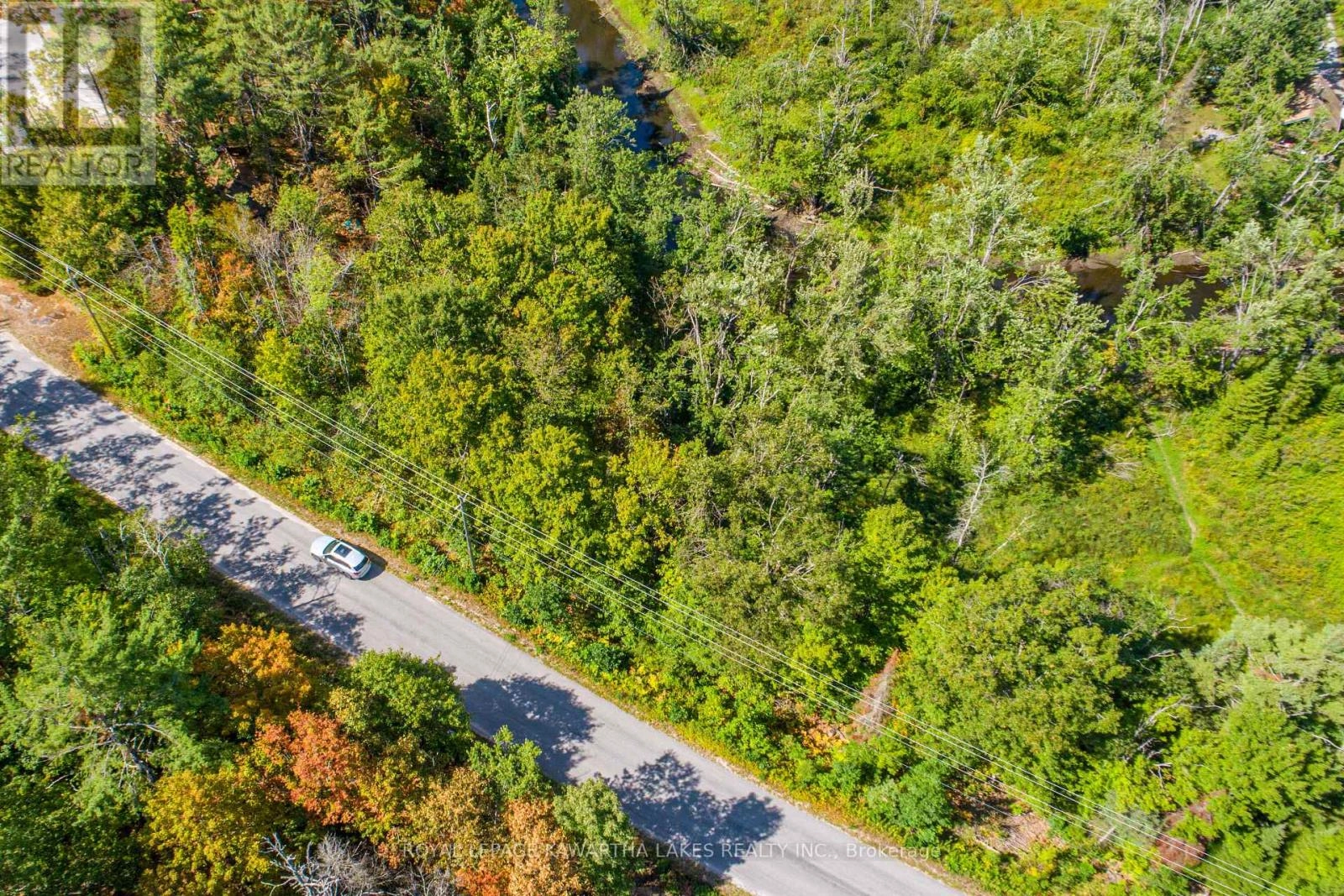 Pt Lot 36 Edwina Drive, Trent Lakes, Ontario  K0M 1A0 - Photo 2 - X12356493