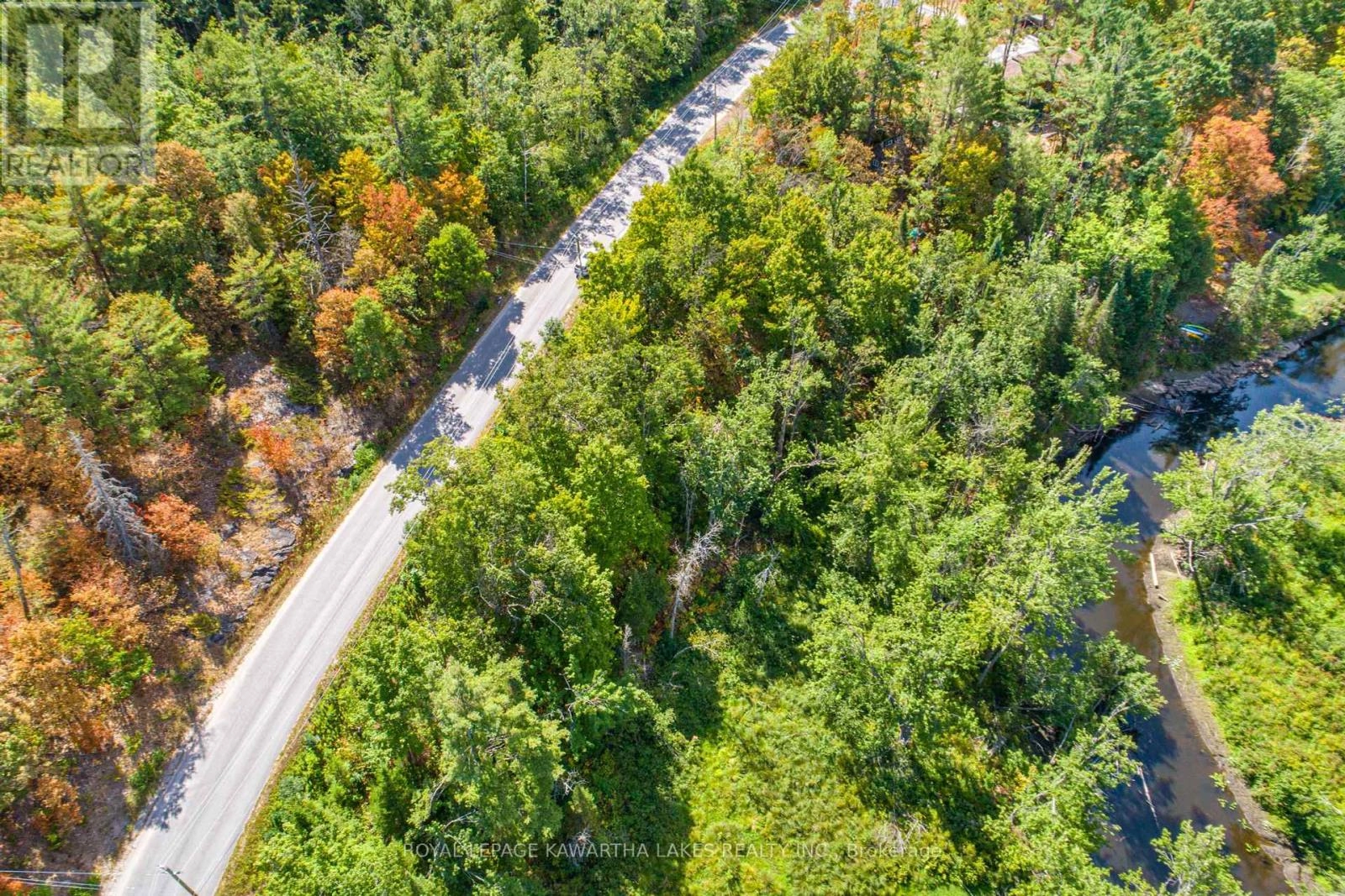 Pt Lot 36 Edwina Drive, Trent Lakes, Ontario  K0M 1A0 - Photo 3 - X12356493