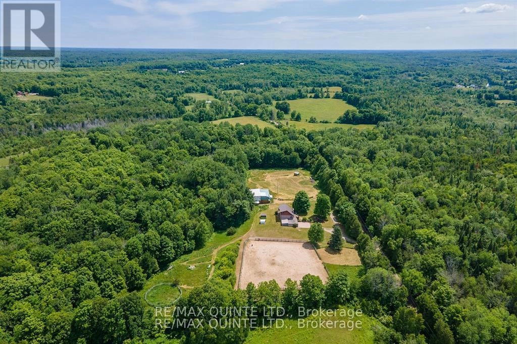 252 Maines Road, Tweed, Ontario  K0K 3H0 - Photo 3 - X12357061