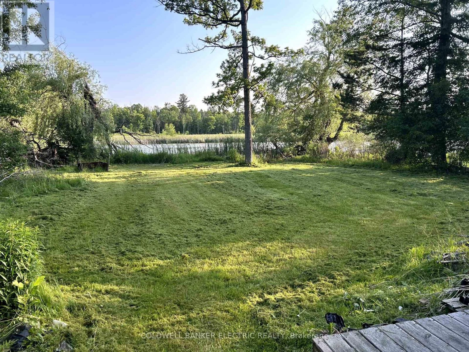 251 River Road, Trent Hills, Ontario  K0L 1L0 - Photo 3 - X12357631