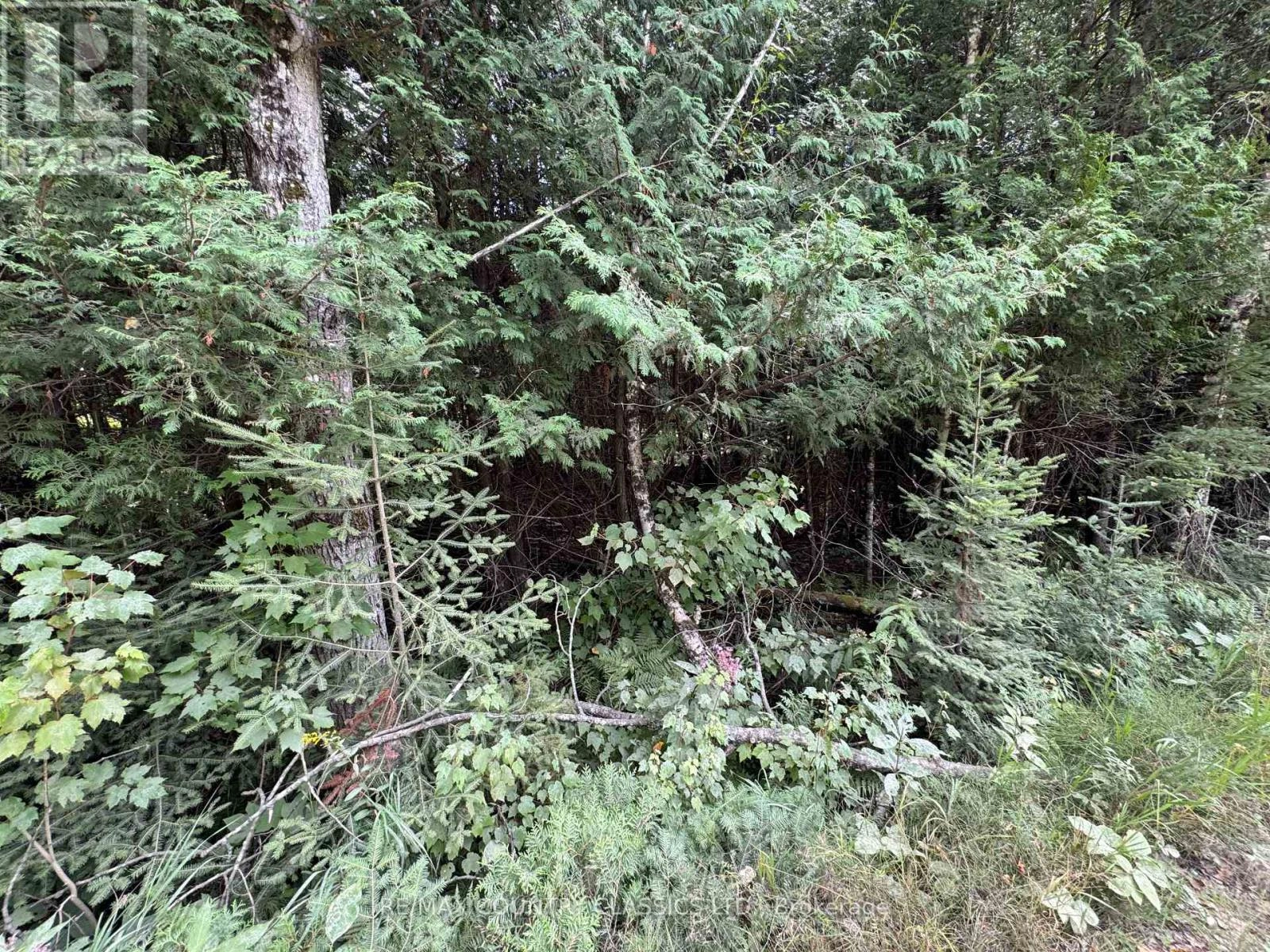 0 Schimmens Road, Brudenell, Ontario  K0J 2E0 - Photo 1 - X12357649
