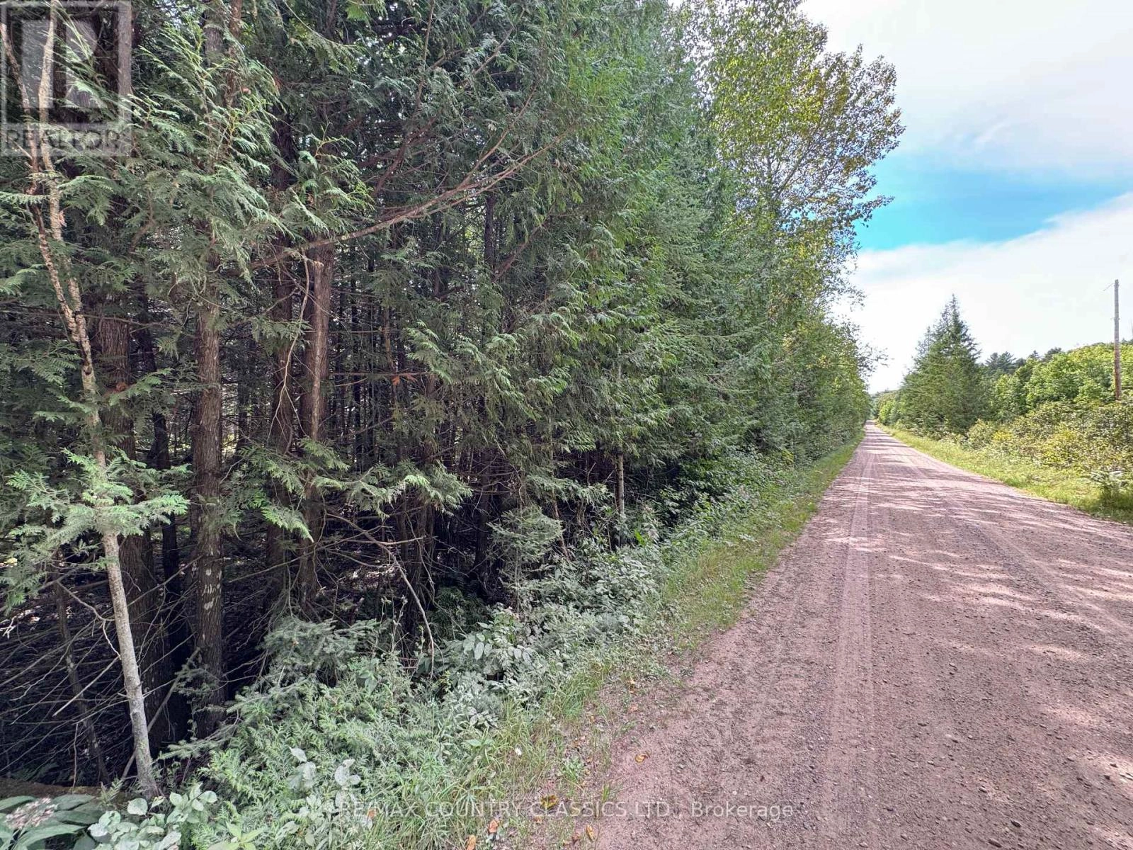 0 Schimmens Road, Brudenell, Ontario  K0J 2E0 - Photo 2 - X12357649