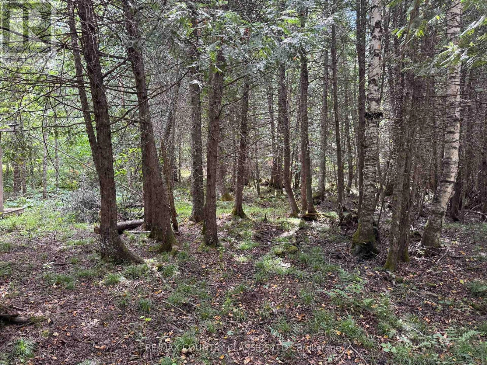 0 Schimmens Road, Brudenell, Ontario  K0J 2E0 - Photo 3 - X12357649