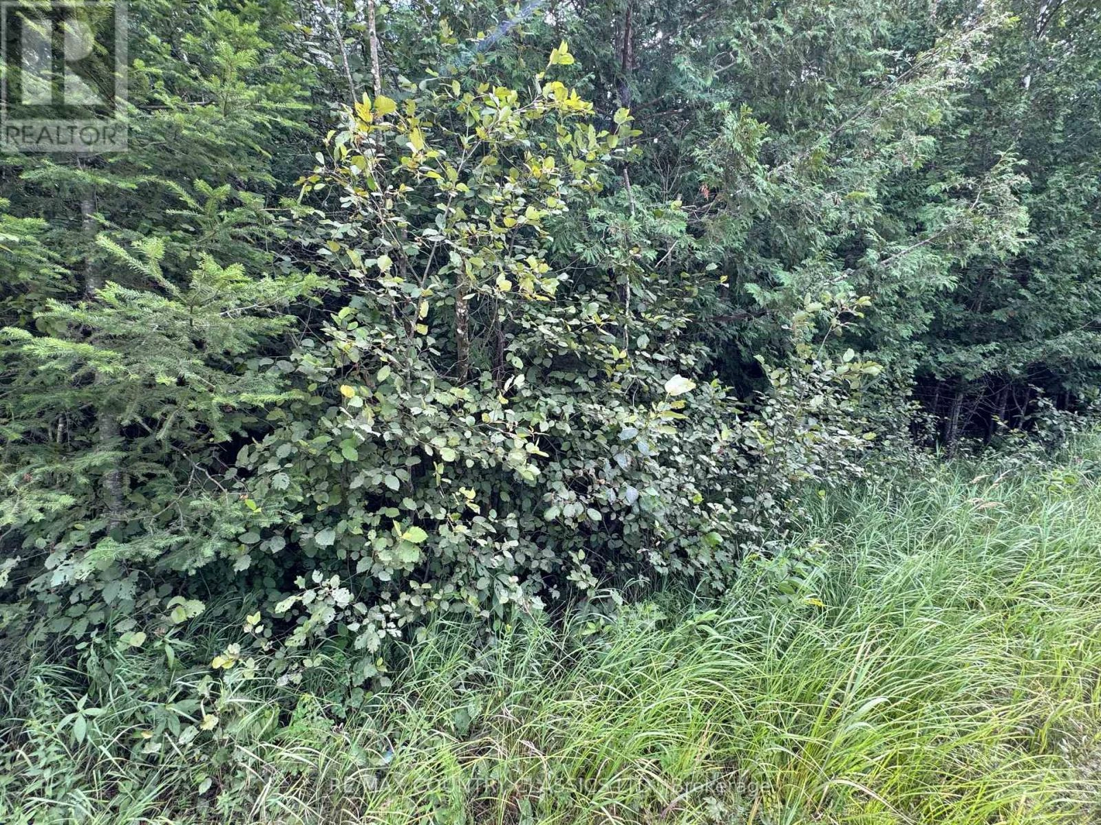 00 Schimmens Road, Brudenell, Ontario  K0J 2E0 - Photo 1 - X12357658
