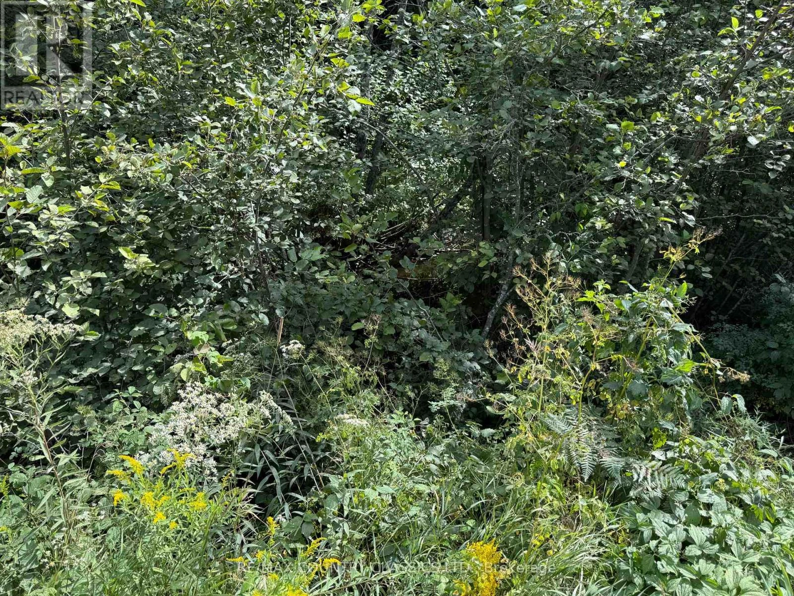 00 Schimmens Road, Brudenell, Ontario  K0J 2E0 - Photo 2 - X12357658
