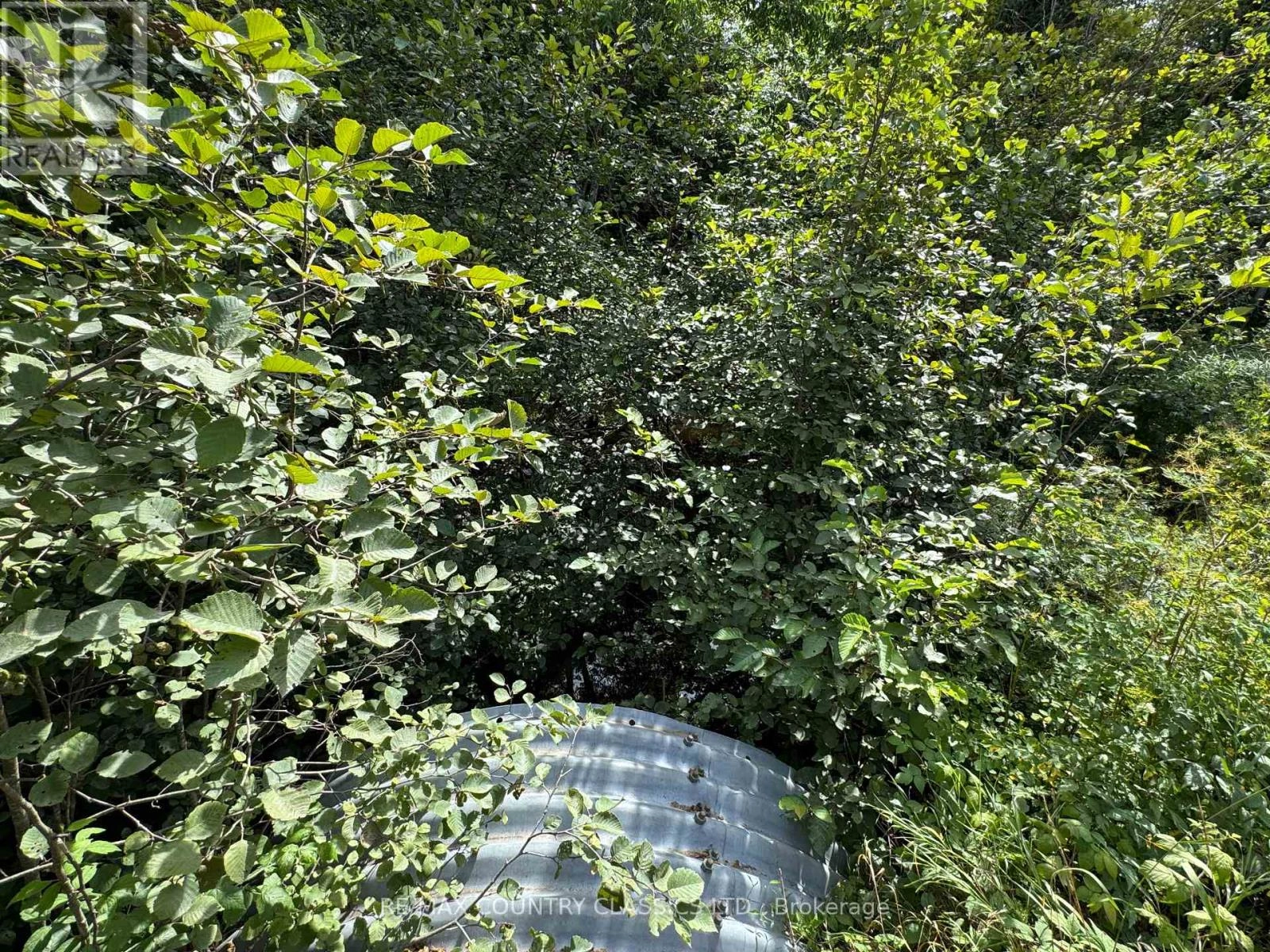 00 Schimmens Road, Brudenell, Ontario  K0J 2E0 - Photo 3 - X12357658