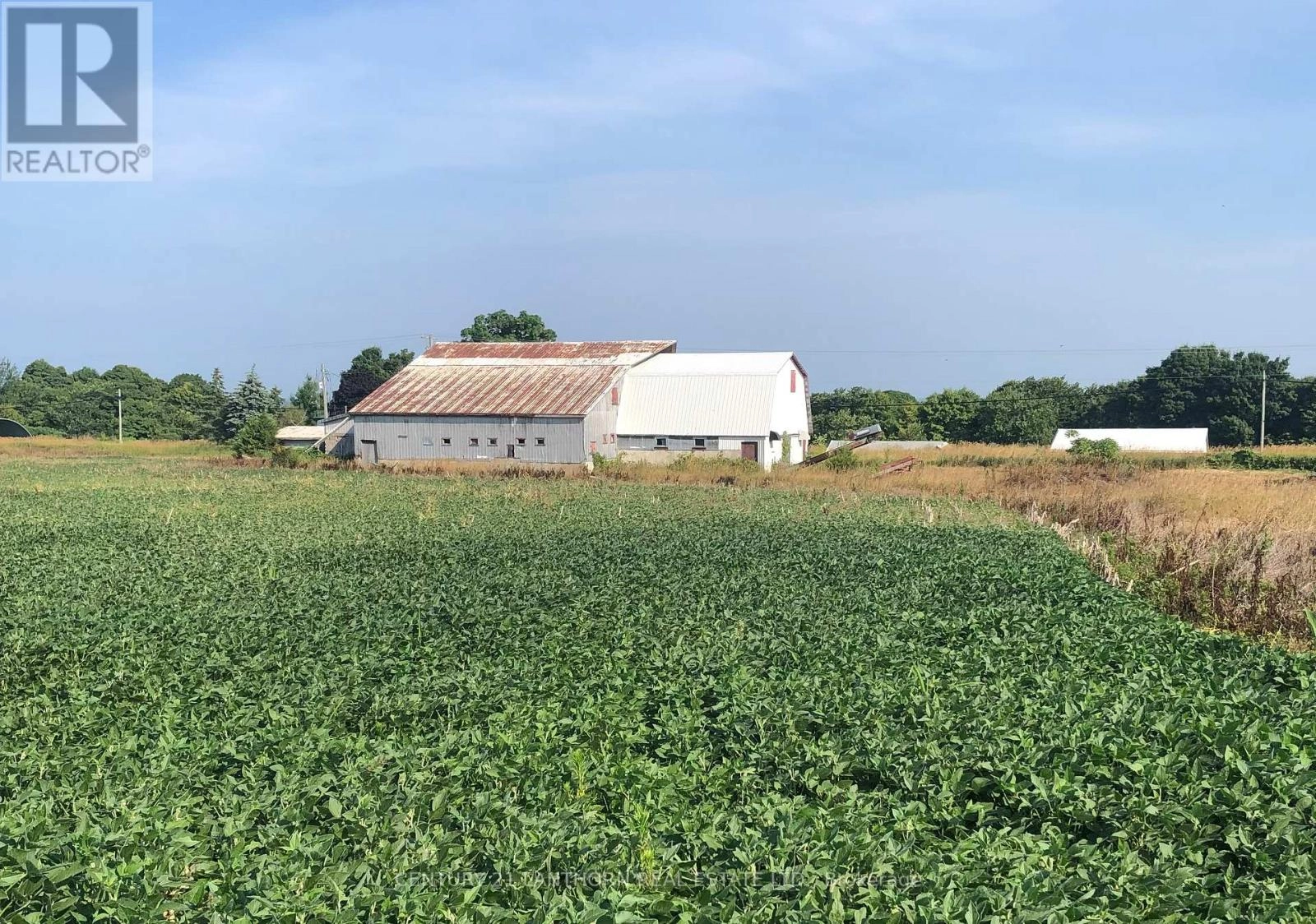 1546 COUNTY ROAD 7 ROAD W, Prince Edward County, Ontario