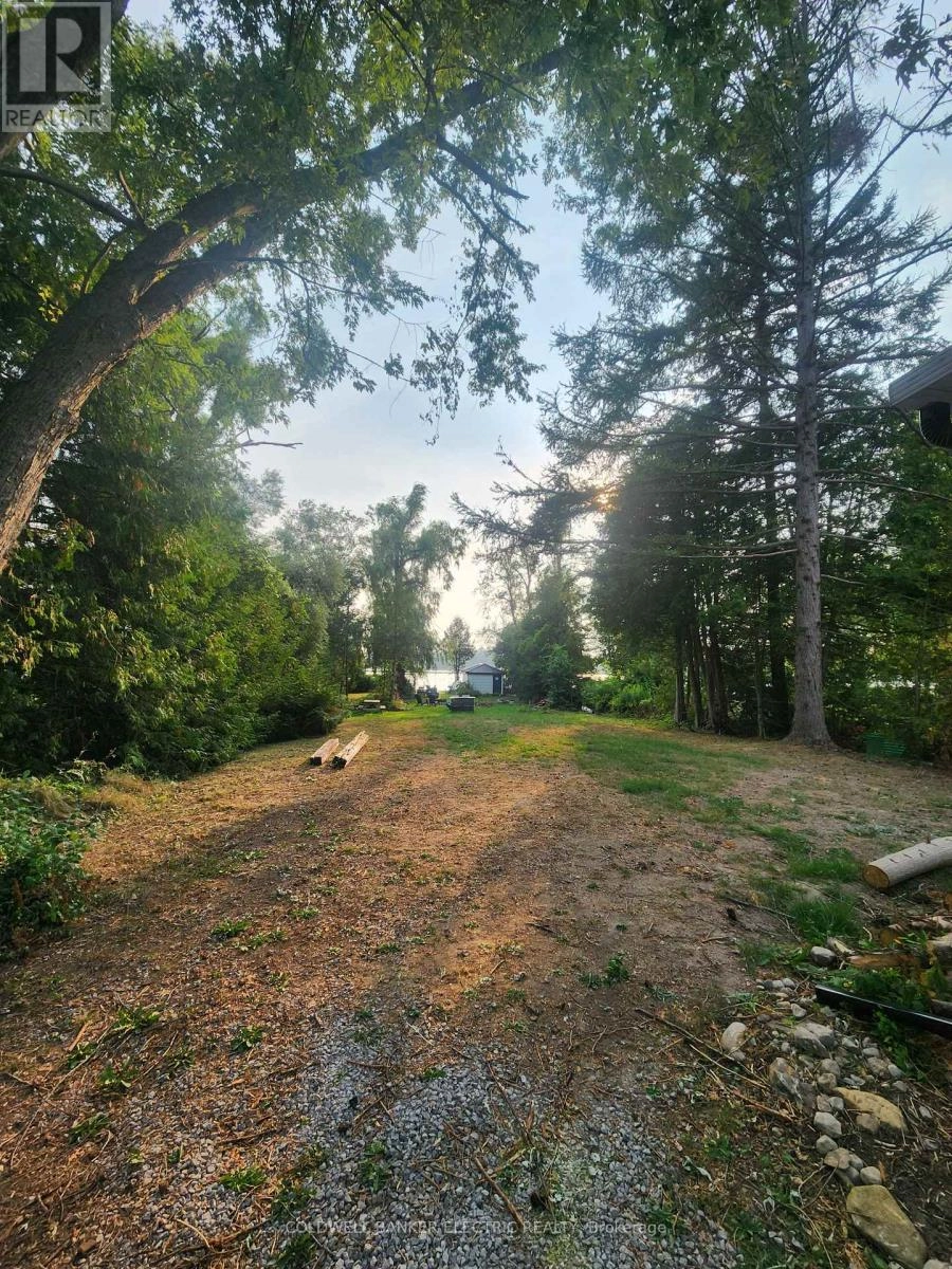 48 Hargrave Road, Kawartha Lakes, Ontario  K0M 2B0 - Photo 3 - X12362350