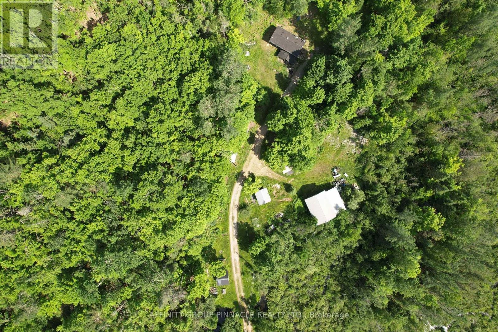 1197 Swinson Road, Minden Hills, Ontario  K0M 2A1 - Photo 3 - X12363008