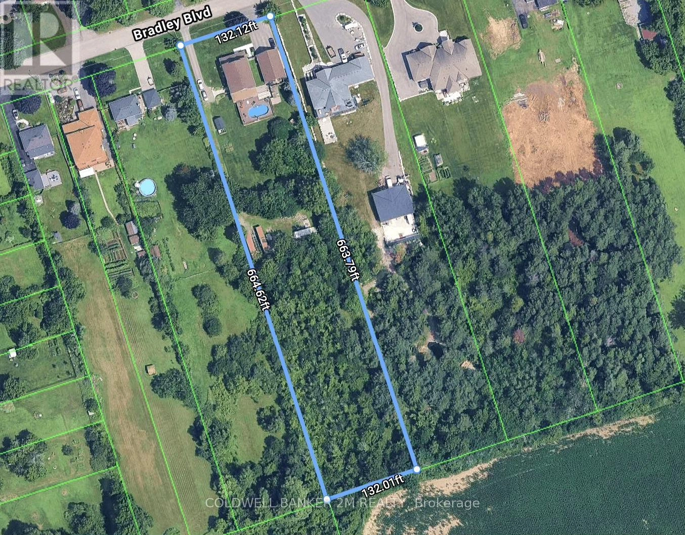 37 Bradley Boulevard, Clarington, Ontario  L0B 1J0 - Photo 3 - E12286325