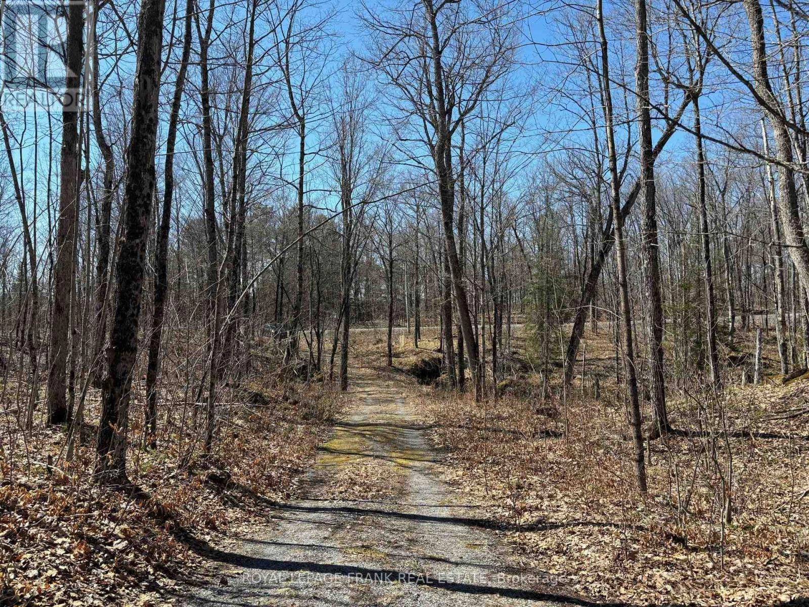 185 Julian Lake Road, North Kawartha, Ontario  K0L 3E0 - Photo 1 - X12364479