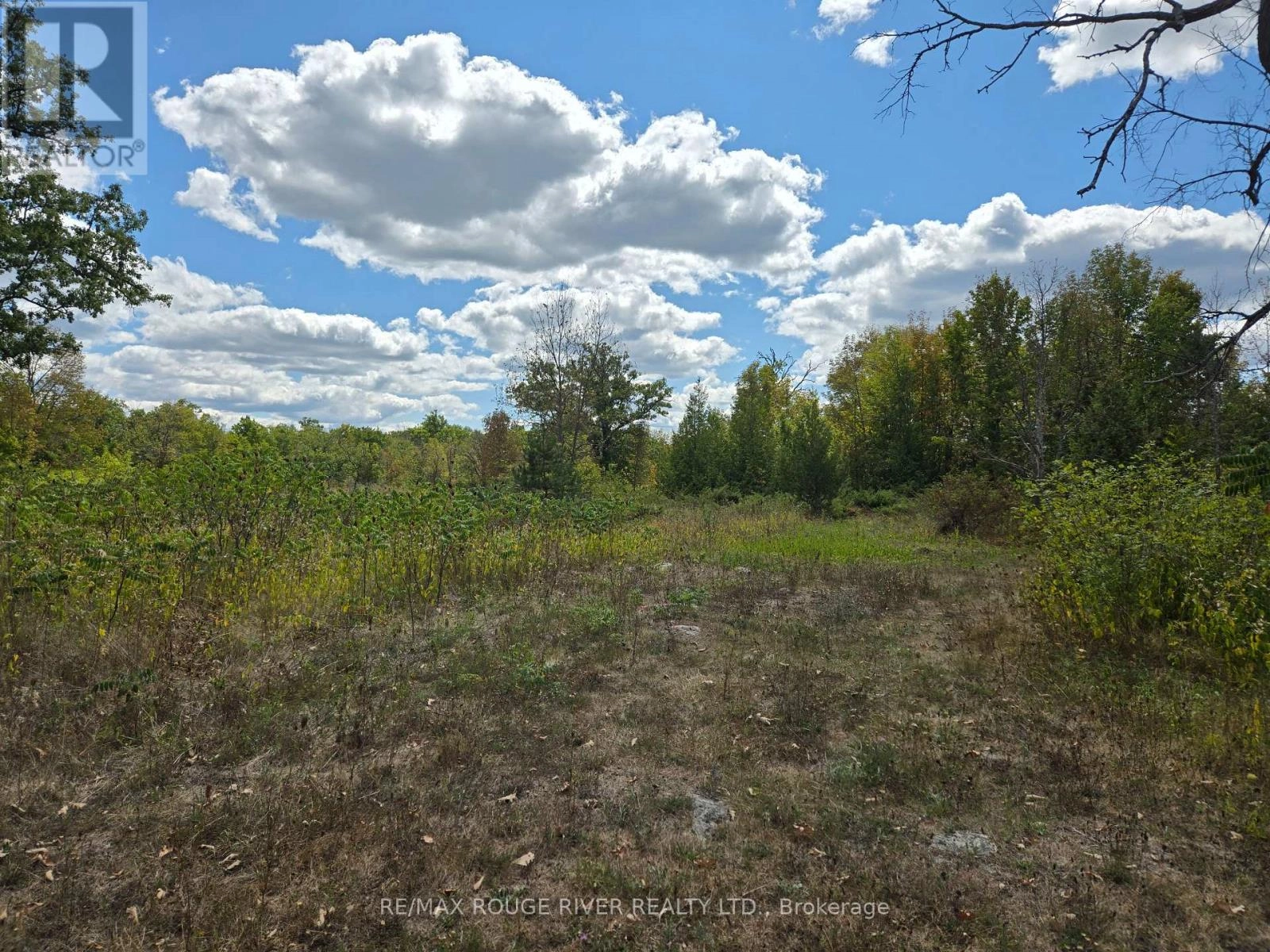 103080 Highway 7 Highway E, Marmora And Lake, Ontario  K0K 2M0 - Photo 1 - X12365450