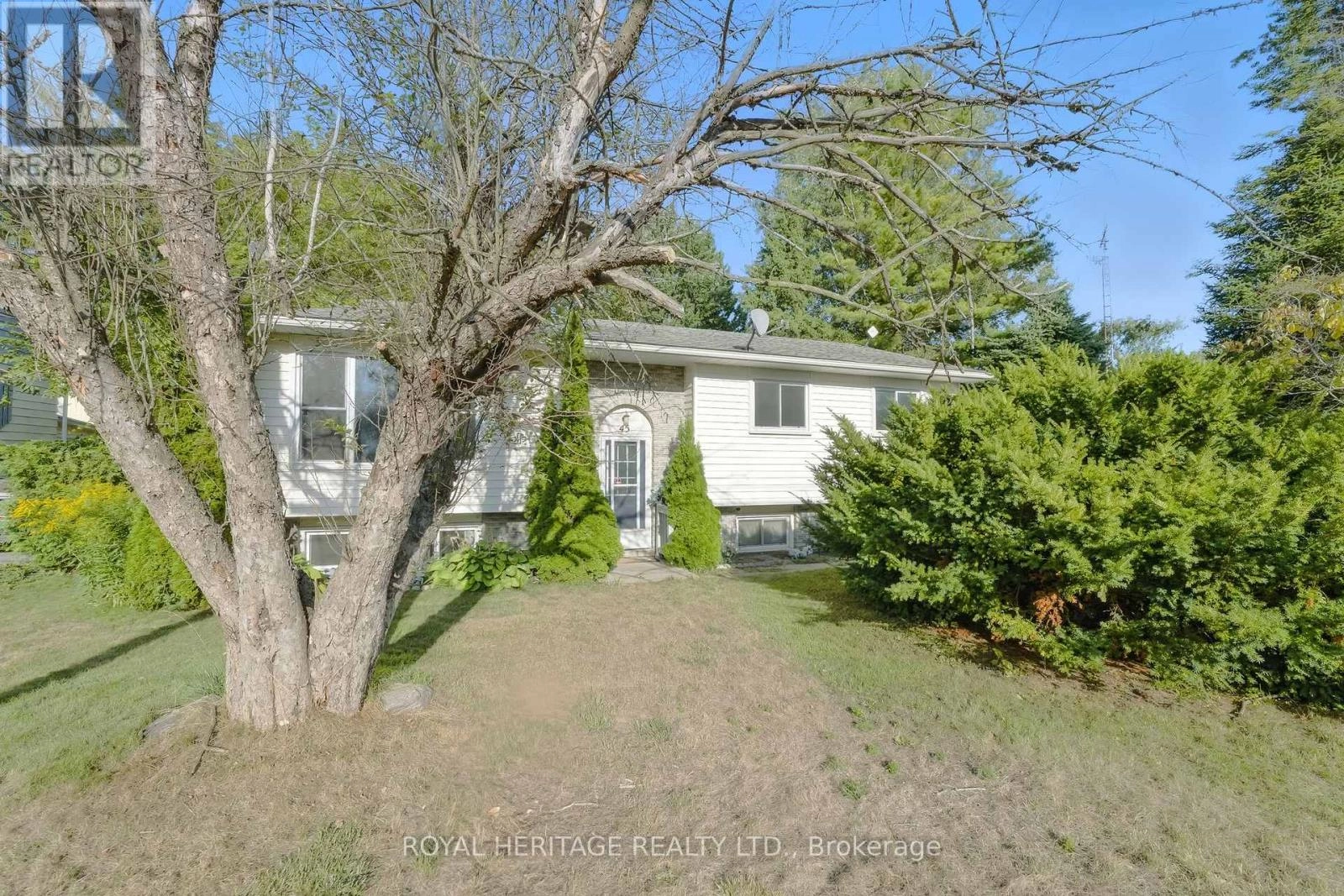 45 Maplewood Avenue, Brighton, Ontario  K0K 1H0 - Photo 1 - X12369646