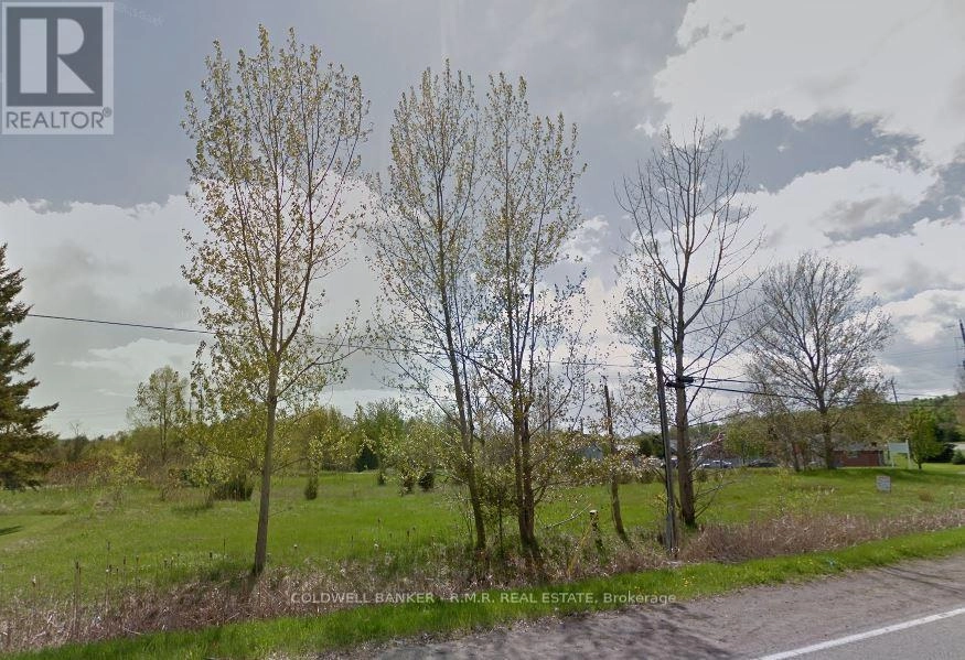 50 Ontario Street, Cramahe, Ontario  K0K 1S0 - Photo 3 - X12373407