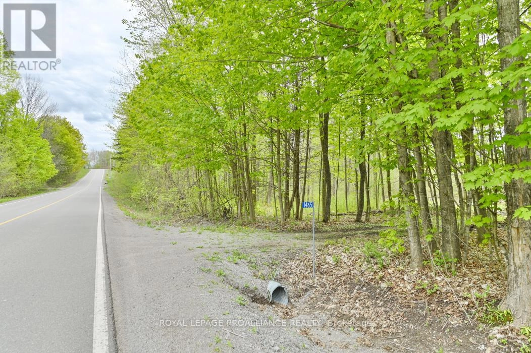 1465 Phillipston Road, Centre Hastings, Ontario  K0K 2Y0 - Photo 2 - X12376794
