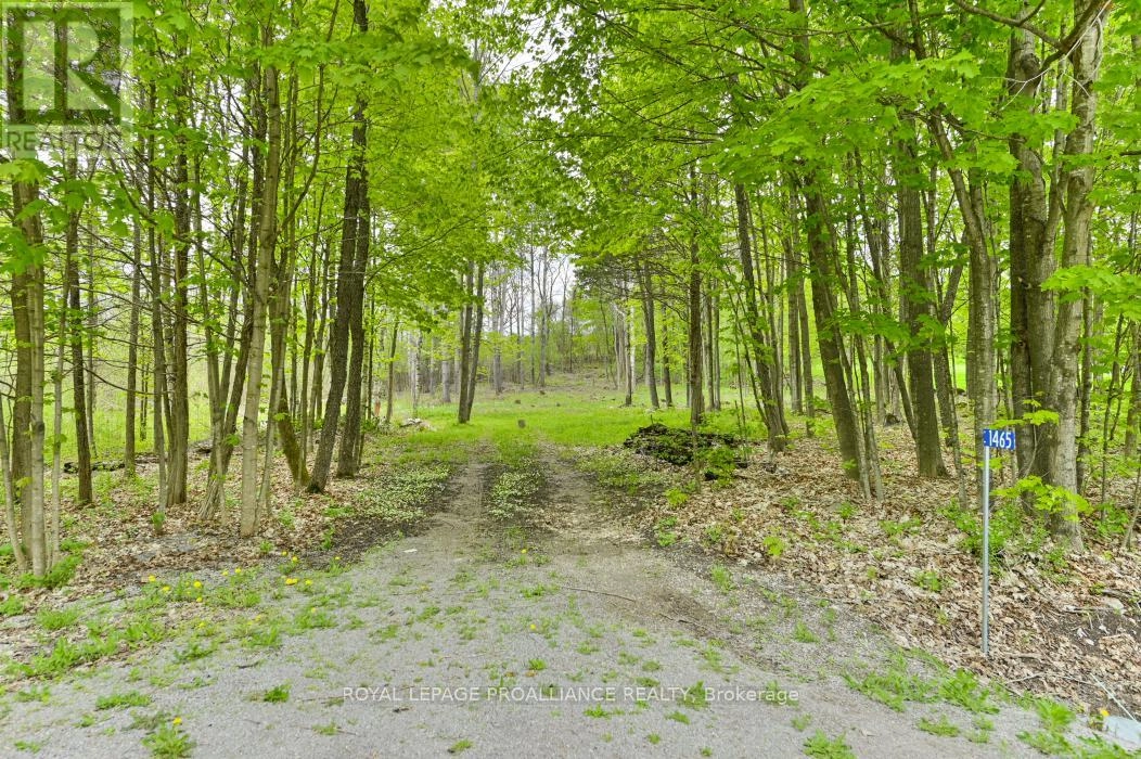 1465 Phillipston Road, Centre Hastings, Ontario  K0K 2Y0 - Photo 3 - X12376794