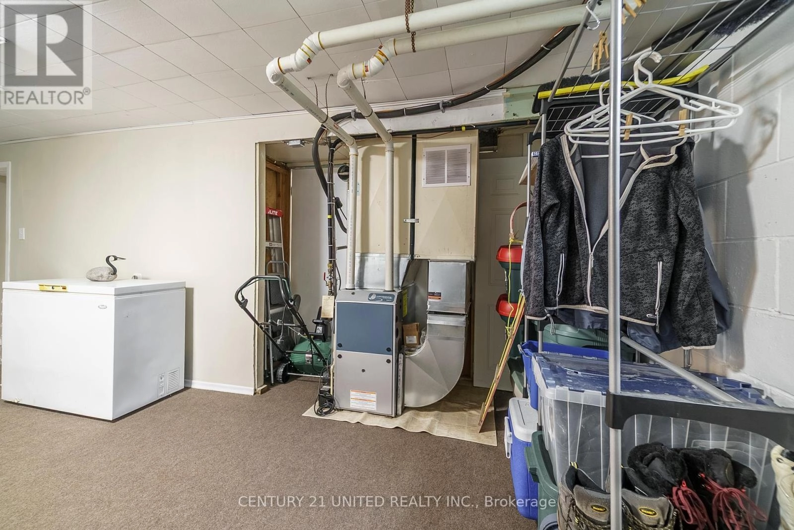 50 Brights Lane, Trent Hills, Ontario K0L 1L0 - Photo 29 - X12376937