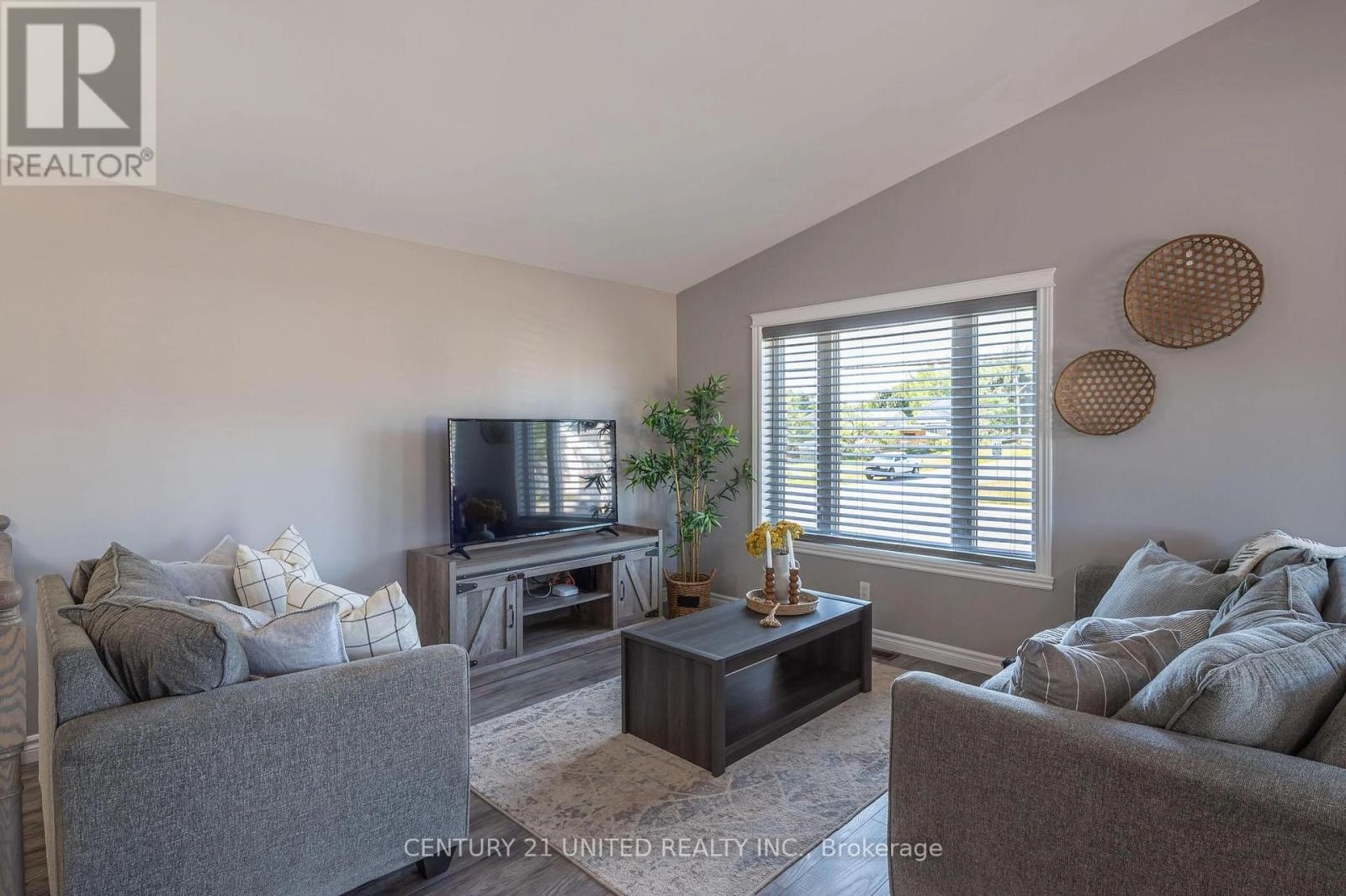 102 King Street W, Kawartha Lakes, Ontario  K0L 2W0 - Photo 3 - X12380909