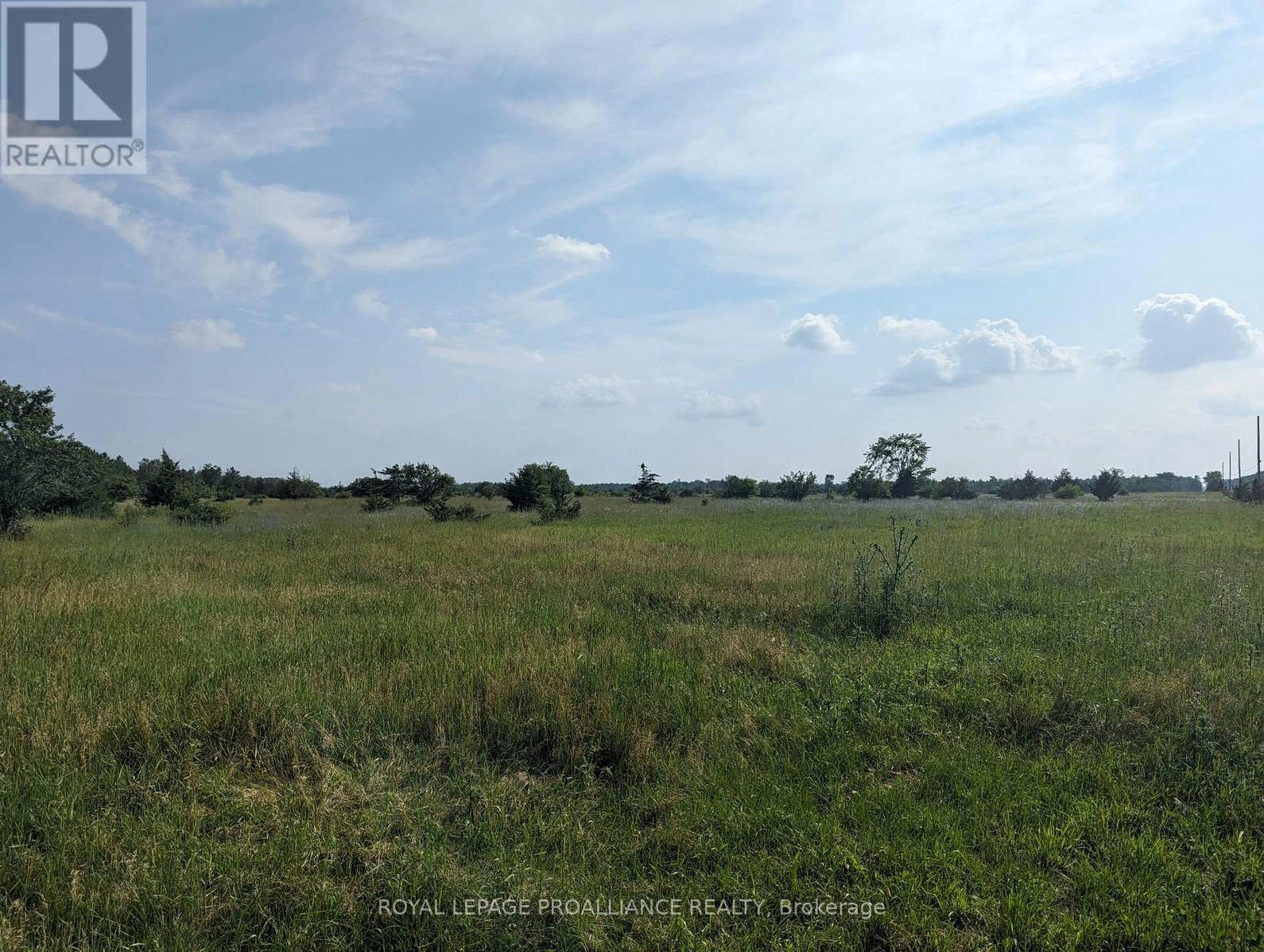 0 (A) Springbrook Road, Stirling-Rawdon, Ontario  K0K 2T0 - Photo 1 - X12382016