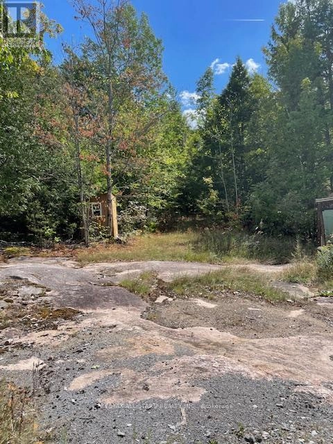 347 Lasswade Road, North Kawartha, Ontario  K0L 1A0 - Photo 2 - X12382290