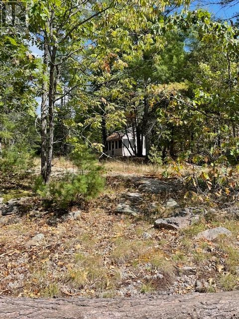 347 Lasswade Road, North Kawartha, Ontario  K0L 1A0 - Photo 3 - X12382290