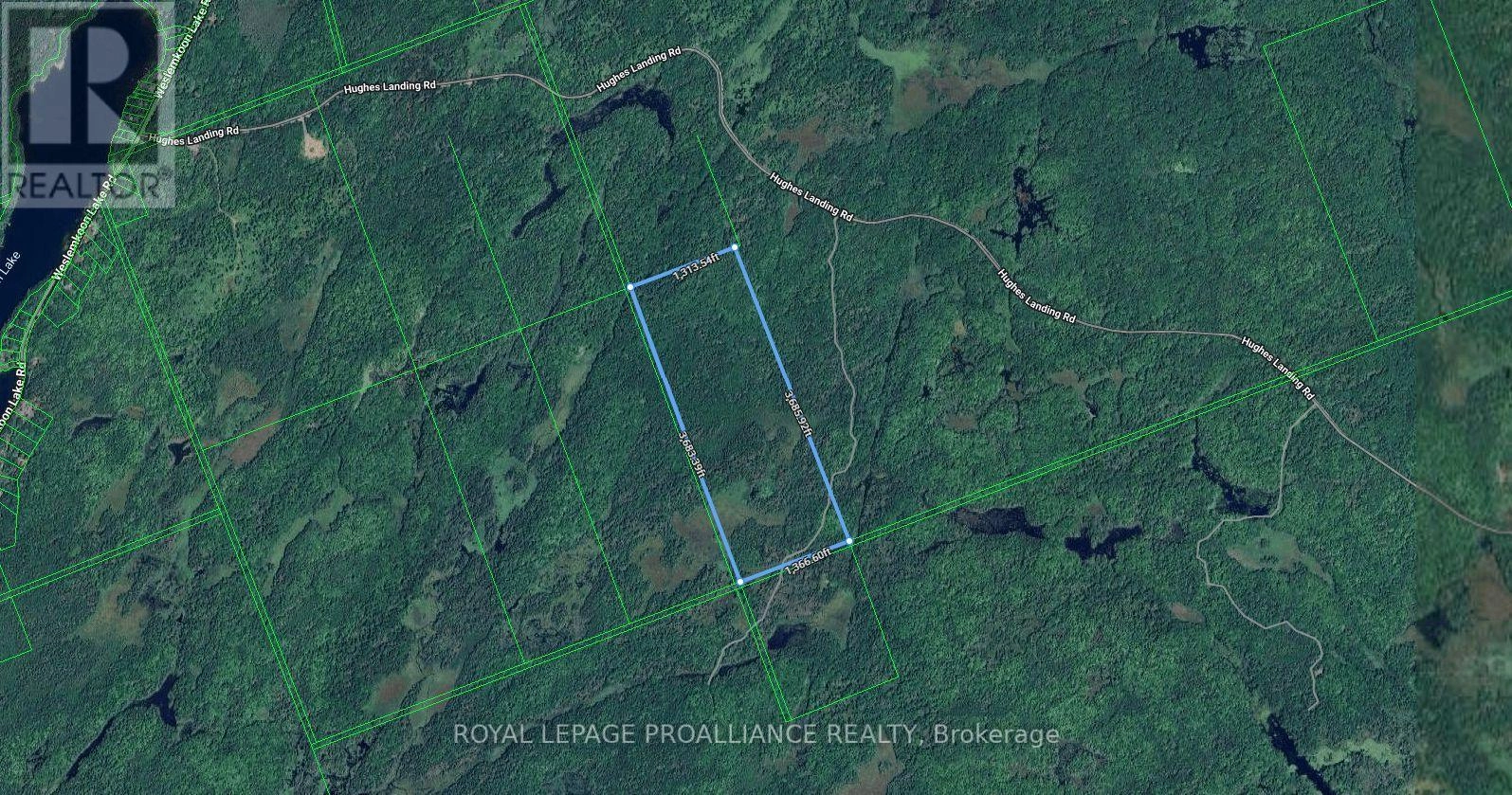 0 Lt 30 Con 19 Grimsthorpe, Tweed, Ontario  K0K 3J0 - Photo 1 - X12384594