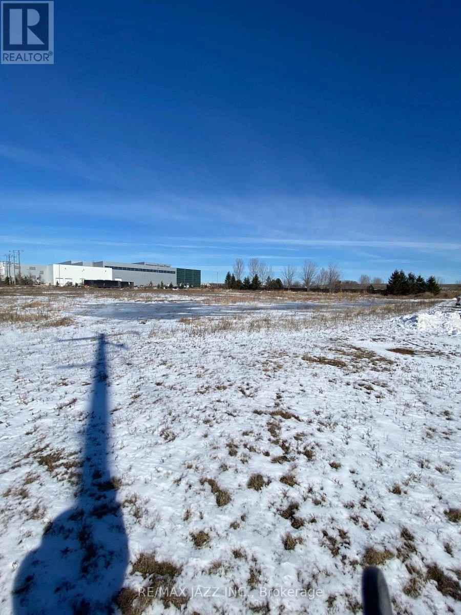 71 Osborne Road, Clarington, Ontario  L1E 0L1 - Photo 2 - E12386262