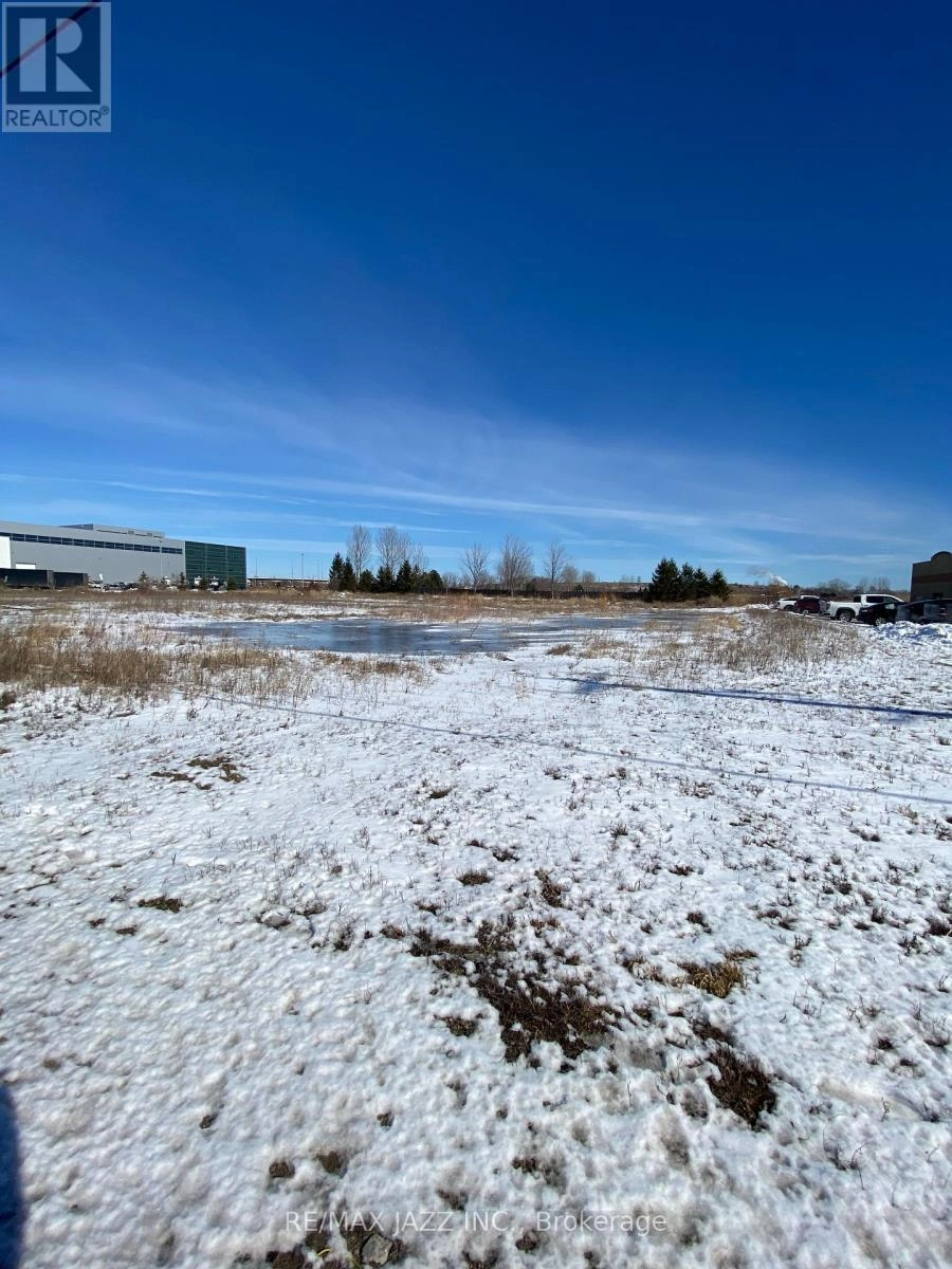 71 Osborne Road, Clarington, Ontario  L1E 0L1 - Photo 3 - E12386262