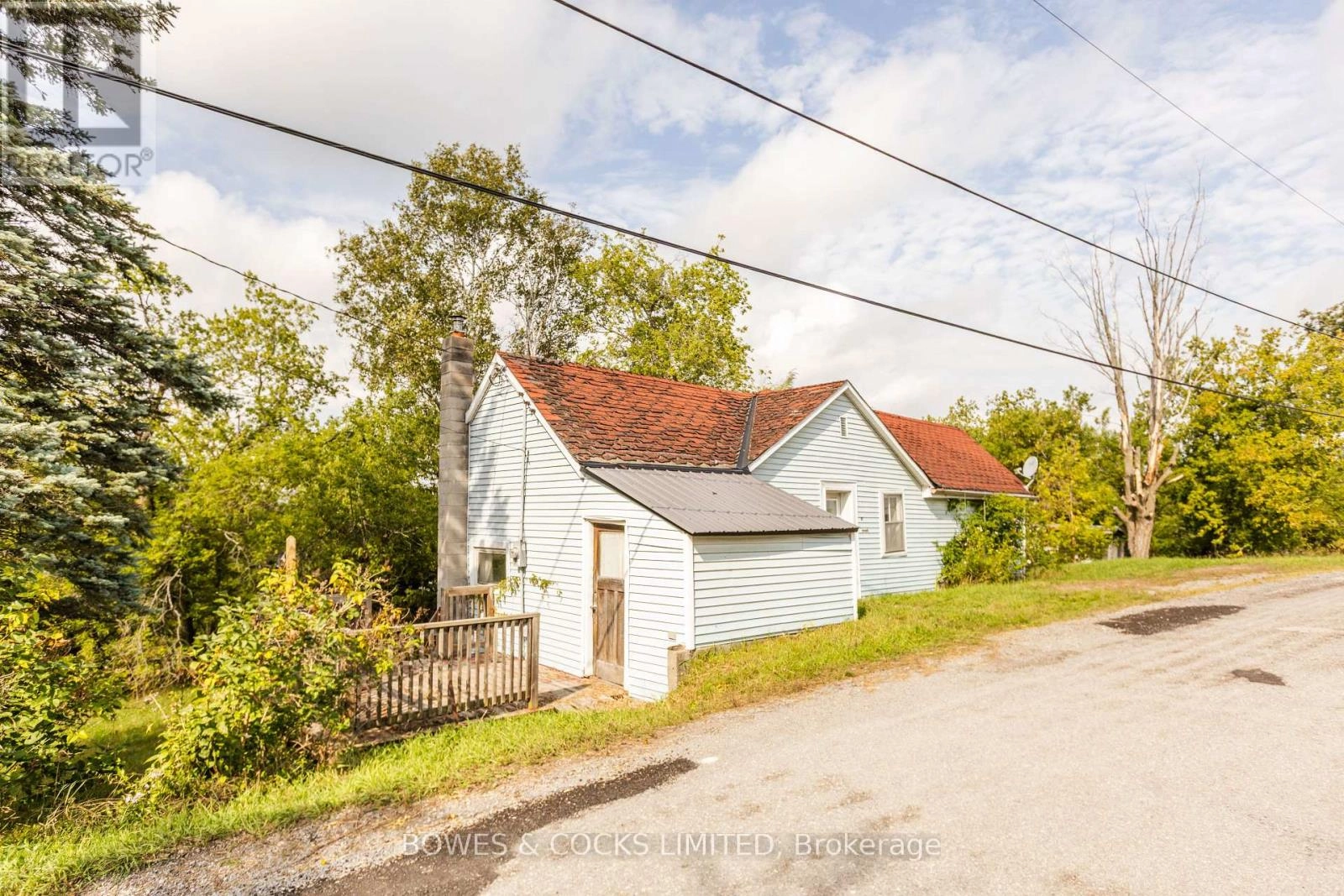 19 Jakeman Street, Kawartha Lakes, Ontario  L0A 1A0 - Photo 3 - X12388702