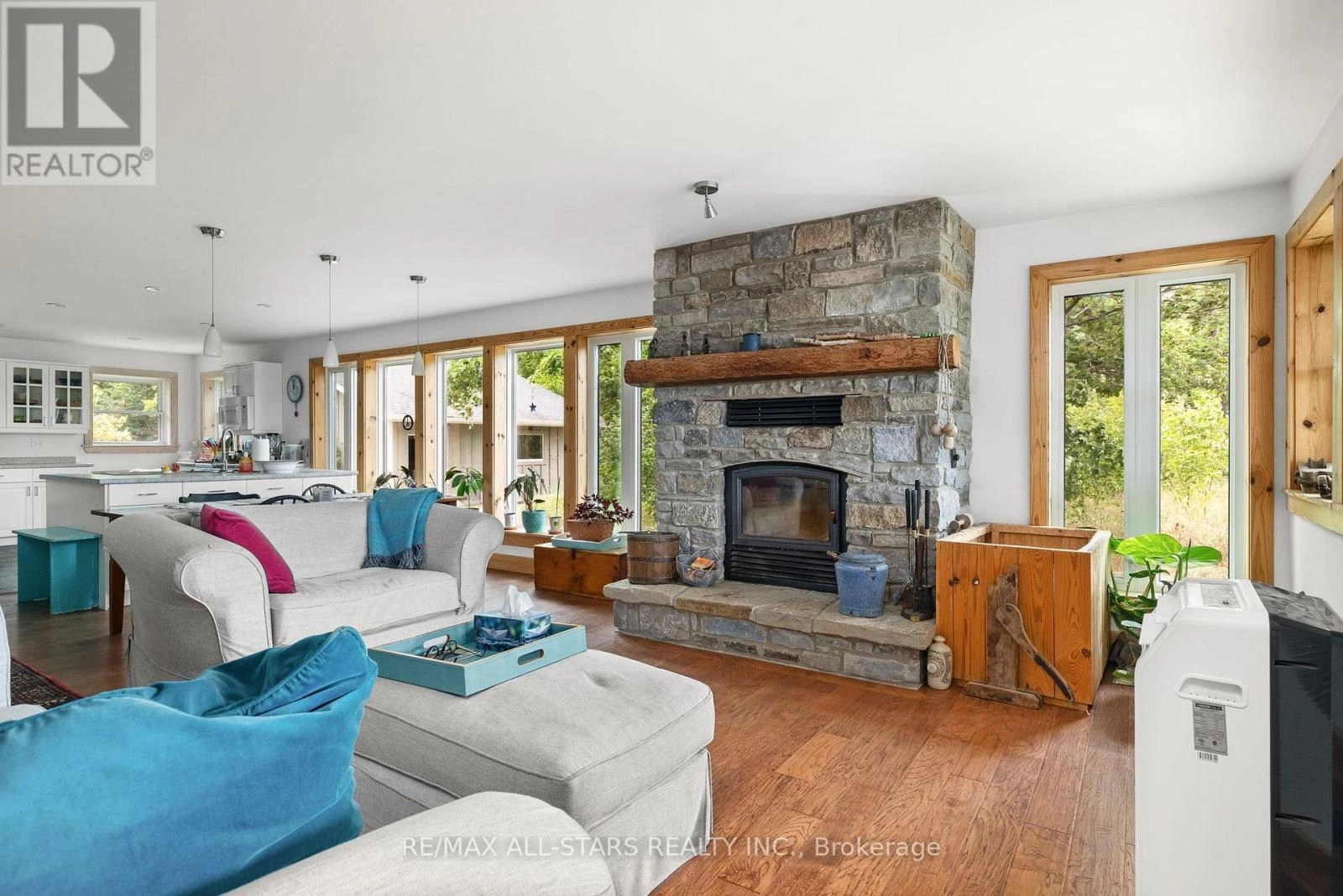 485 Burnt River Road, Kawartha Lakes, Ontario  K0M 2L0 - Photo 1 - X12296904