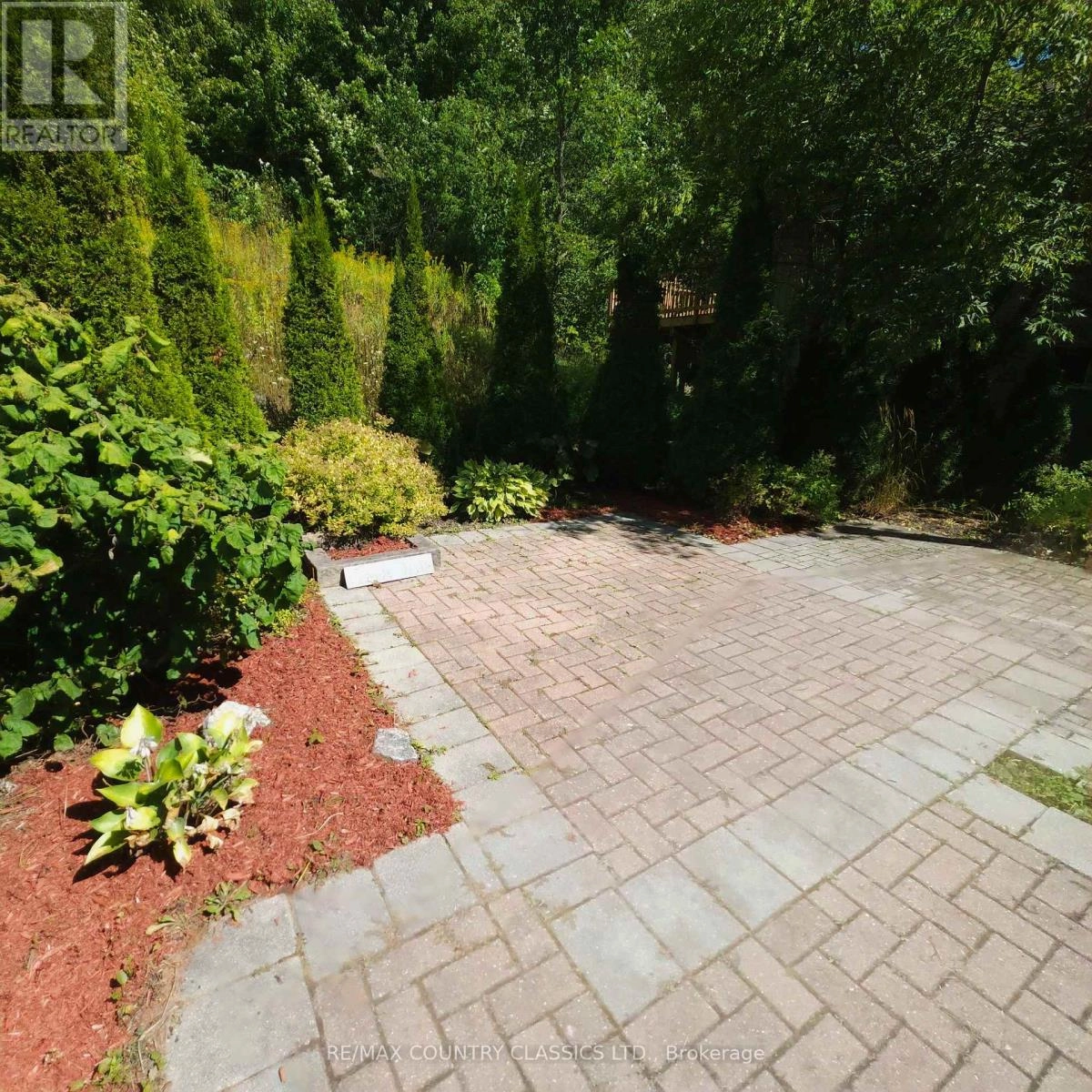 71 & 73 Cleak Avenue, Bancroft, Ontario  K0L 1C0 - Photo 3 - X12368809