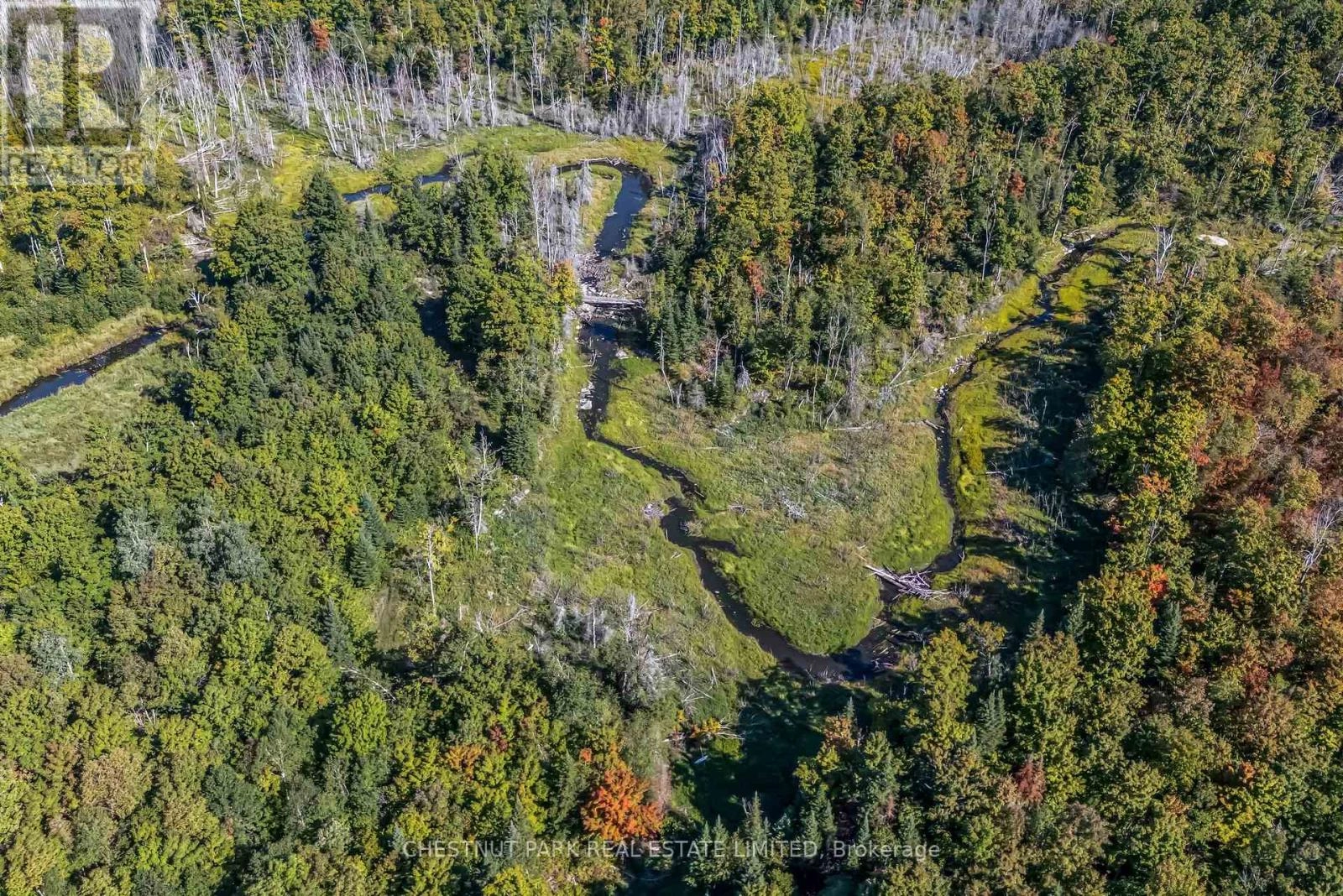 682 Felbers Road, Tudor And Cashel, Ontario  K0K 1Y0 - Photo 3 - X12393936