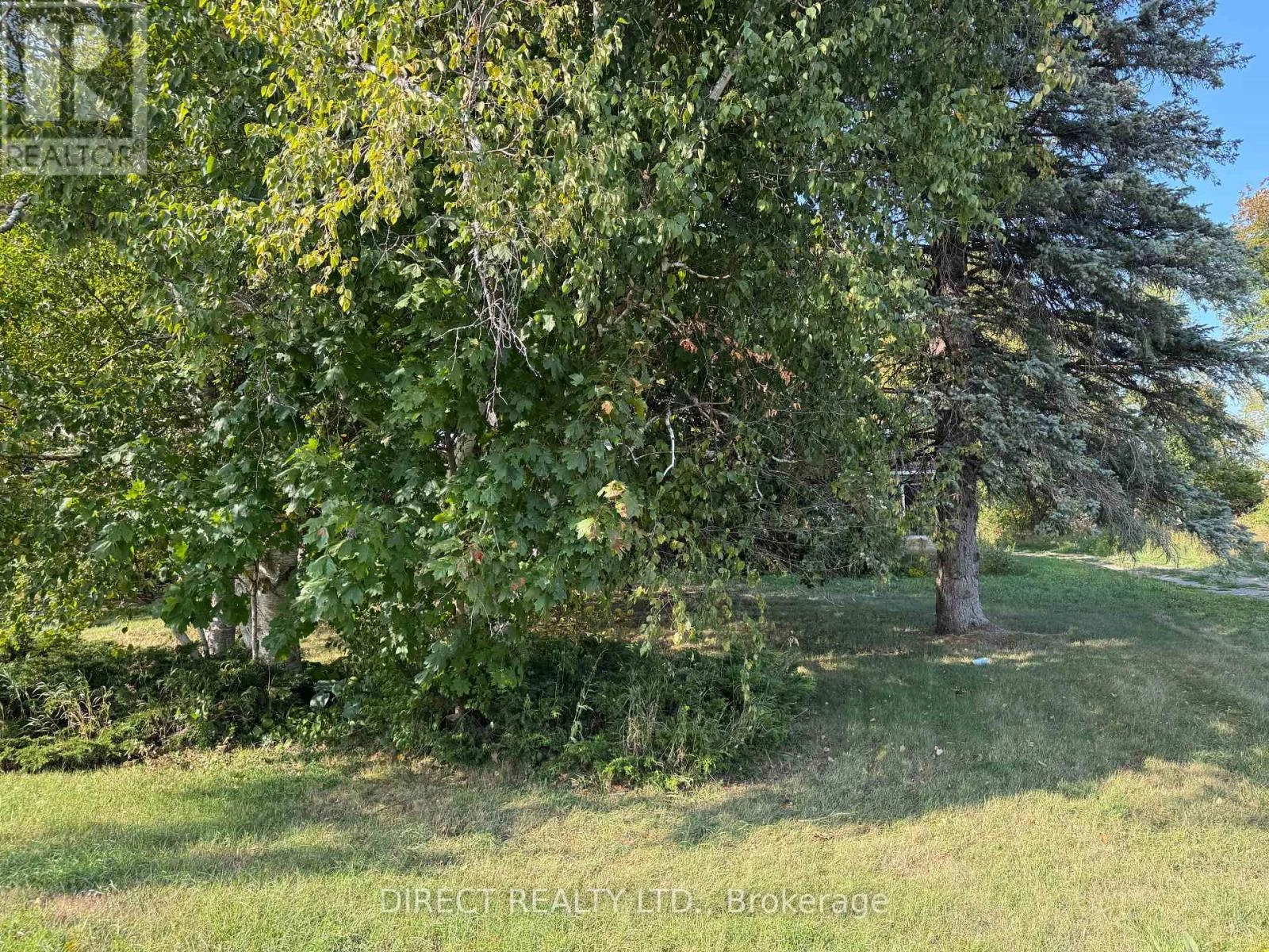 1144 County Road 1, Prince Edward County, Ontario  K0K 1G0 - Photo 3 - X12394436