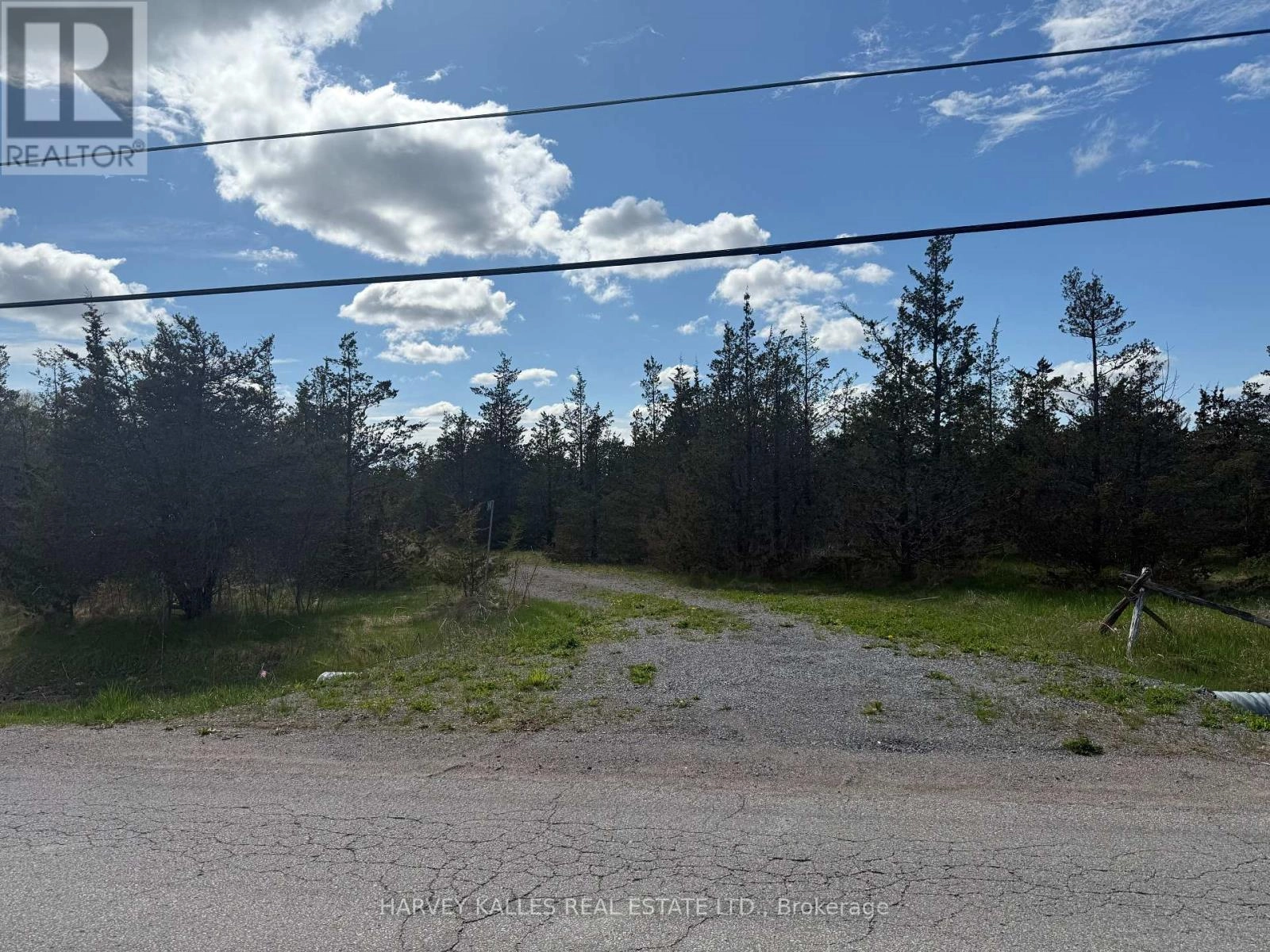 390 County Road 25, Prince Edward County, Ontario  K0K 2T0 - Photo 3 - X12400939