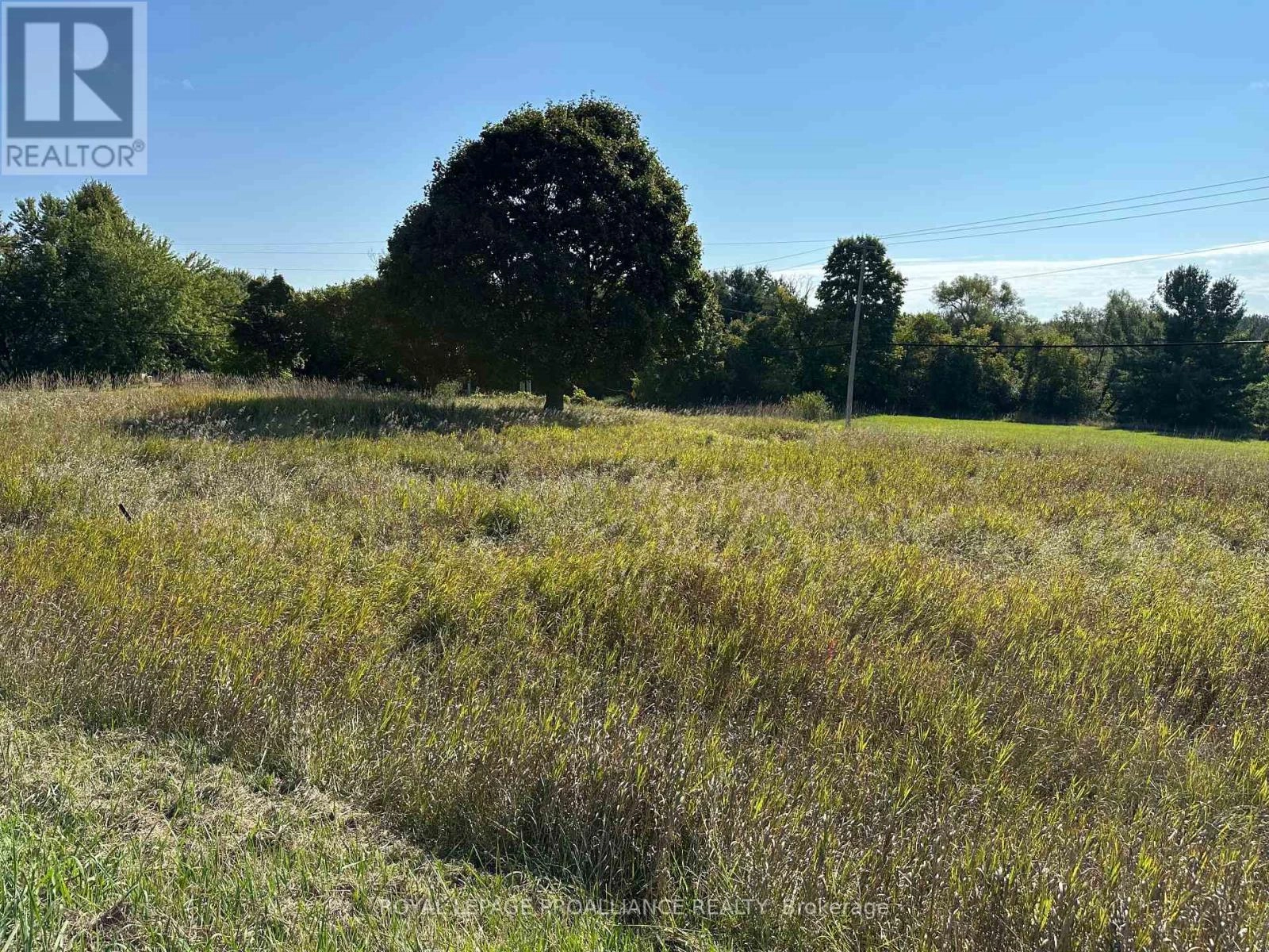 Pt Lt 17 - 0 Teal Road, Quinte West, Ontario  K0K 3M0 - Photo 2 - X12404122