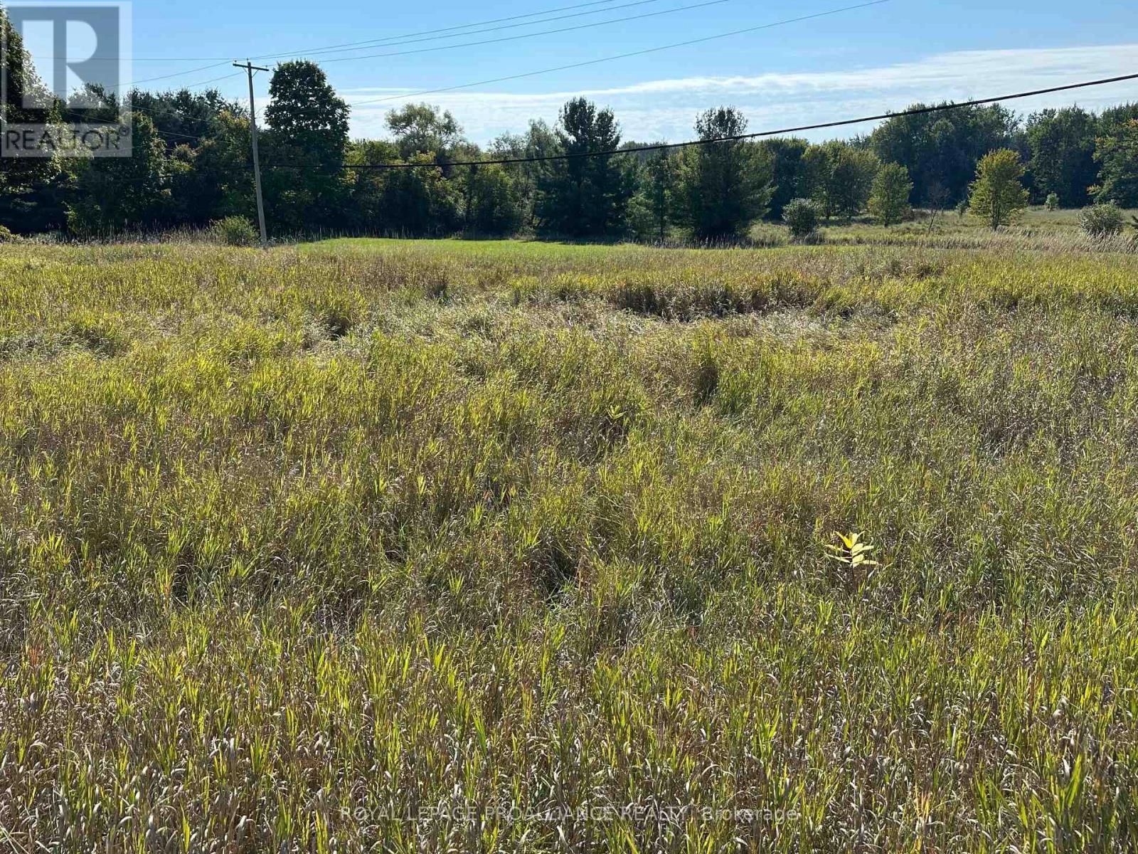 Pt Lt 17 - 0 Teal Road, Quinte West, Ontario  K0K 3M0 - Photo 3 - X12404122