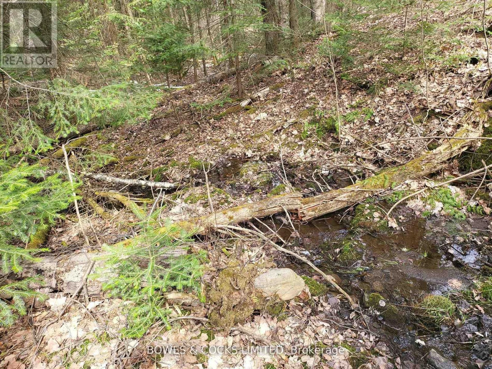 0 Highway 62 N, Hastings Highlands, Ontario  K0L 2S0 - Photo 3 - X12406227
