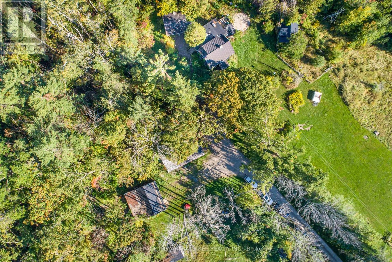 979 Linden Valley Road, Kawartha Lakes, Ontario  K0M 2T0 - Photo 2 - X12408974