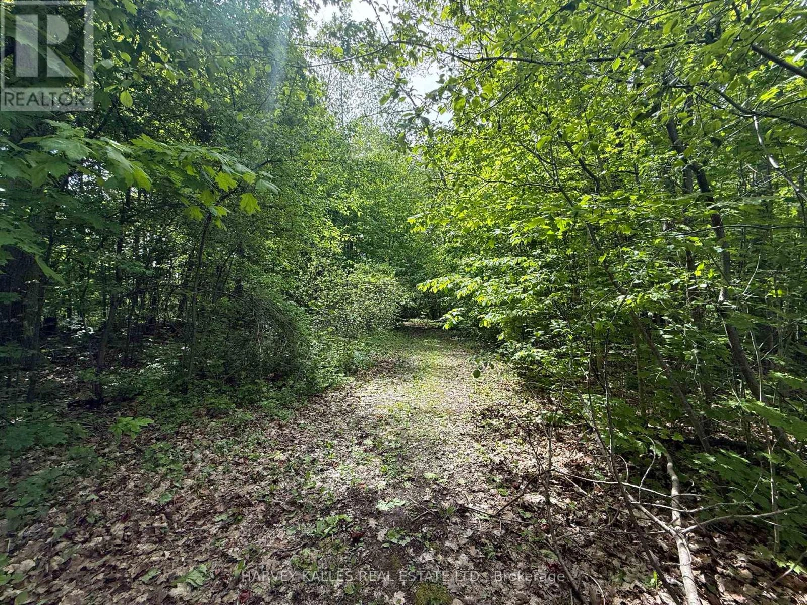 0 Oakwood Lane, Greater Napanee, Ontario  K0H 1G0 - Photo 2 - X12409937