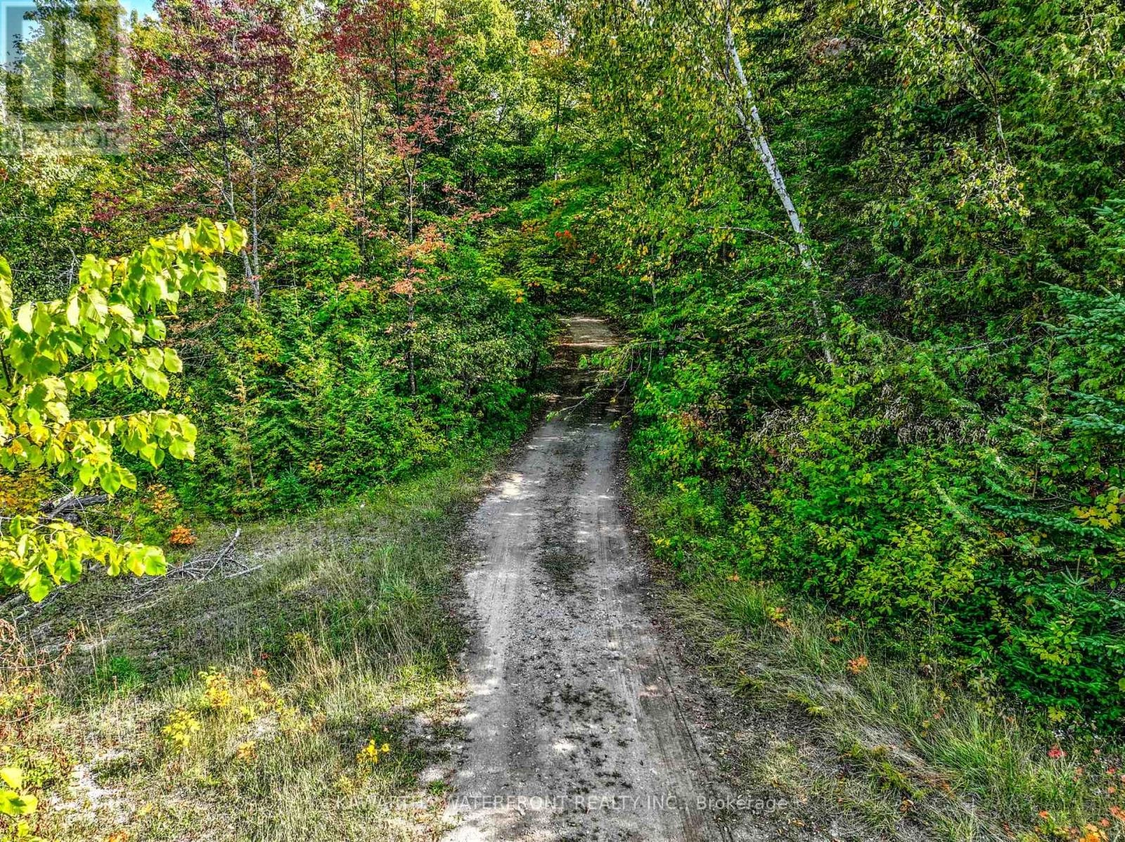 00 Hugill Road, Kawartha Lakes, Ontario  K0M 1K0 - Photo 2 - X12401403