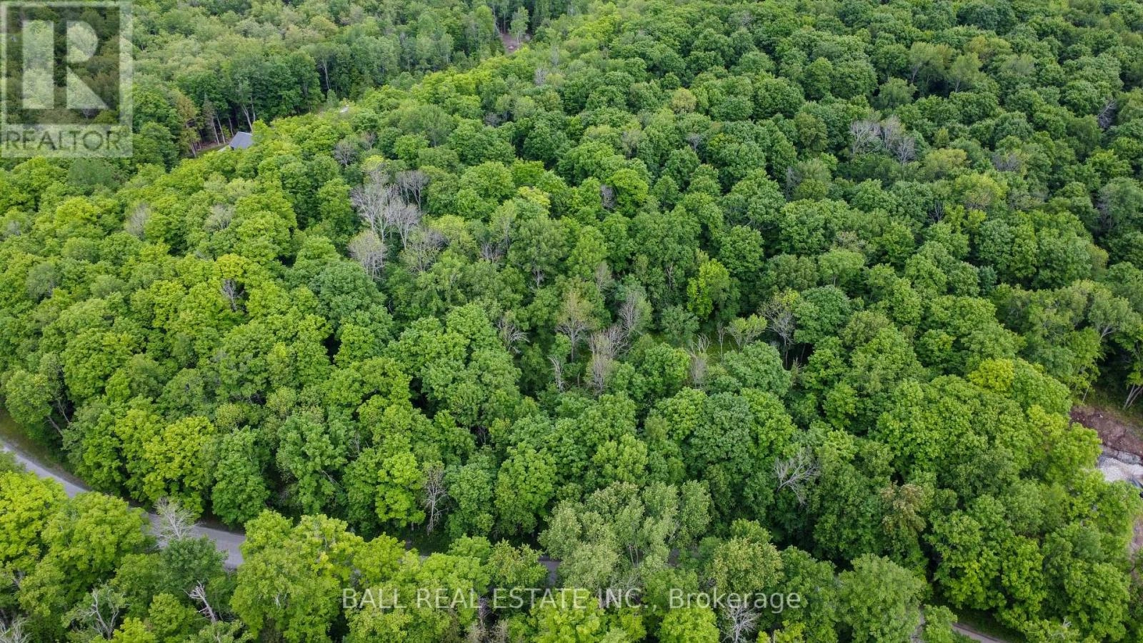 0 Northern Avenue, Trent Lakes, Ontario  K0M 1A0 - Photo 3 - X12415209