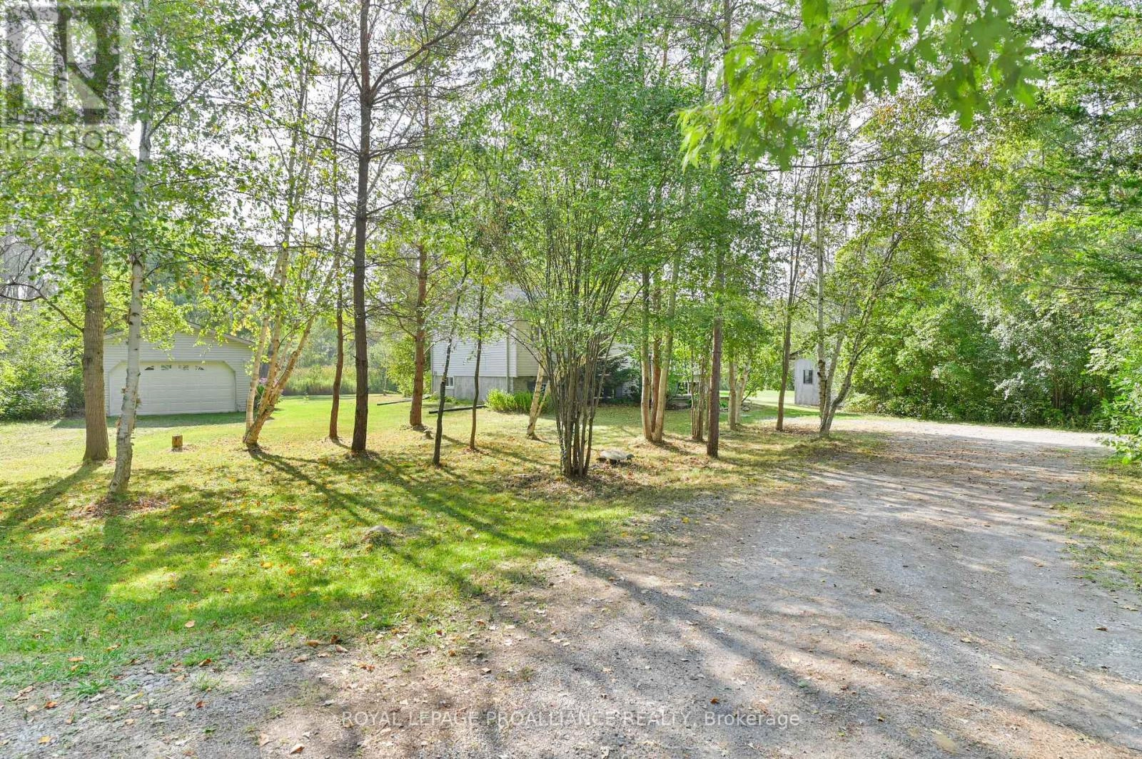 21289 Loyalist Parkway, Prince Edward County, Ontario  K0K 1L0 - Photo 2 - X12415586