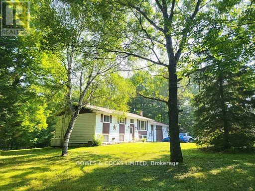 109 Quarry Road, Bancroft, Ontario  K0L 1C0 - Photo 3 - X12415952