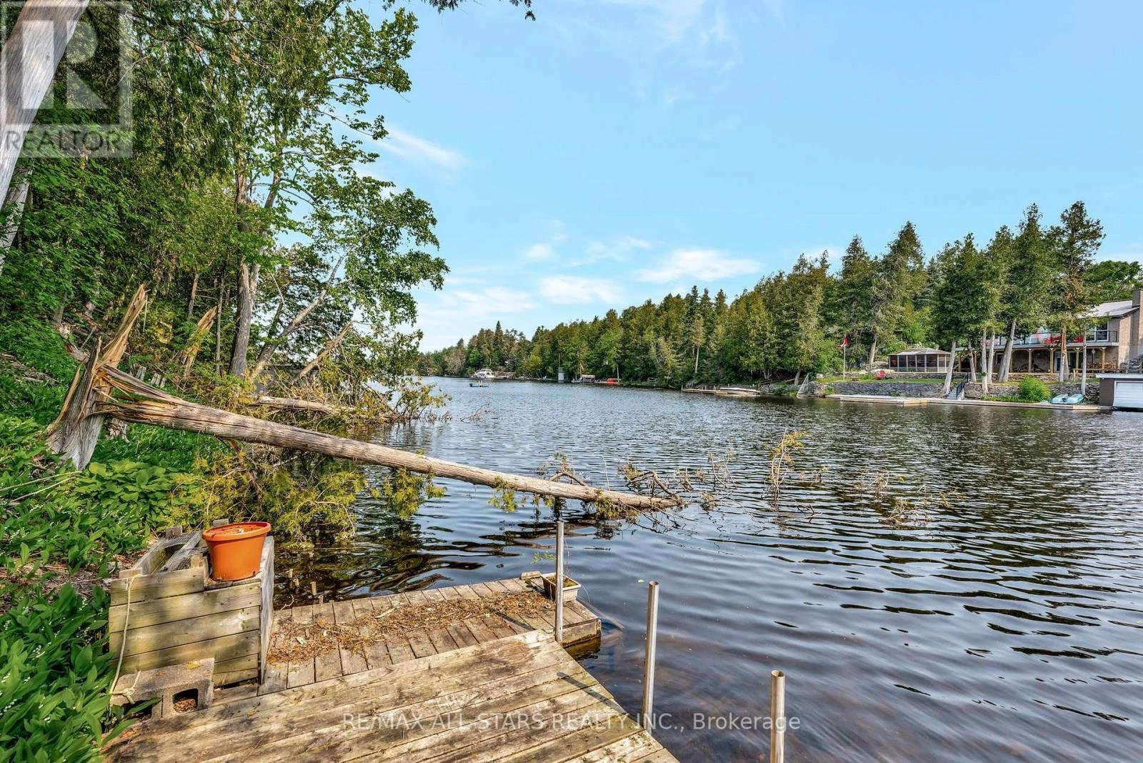 14 Wychwood Drive E, Kawartha Lakes, Ontario  K0M 1N0 - Photo 44 - X12384885
